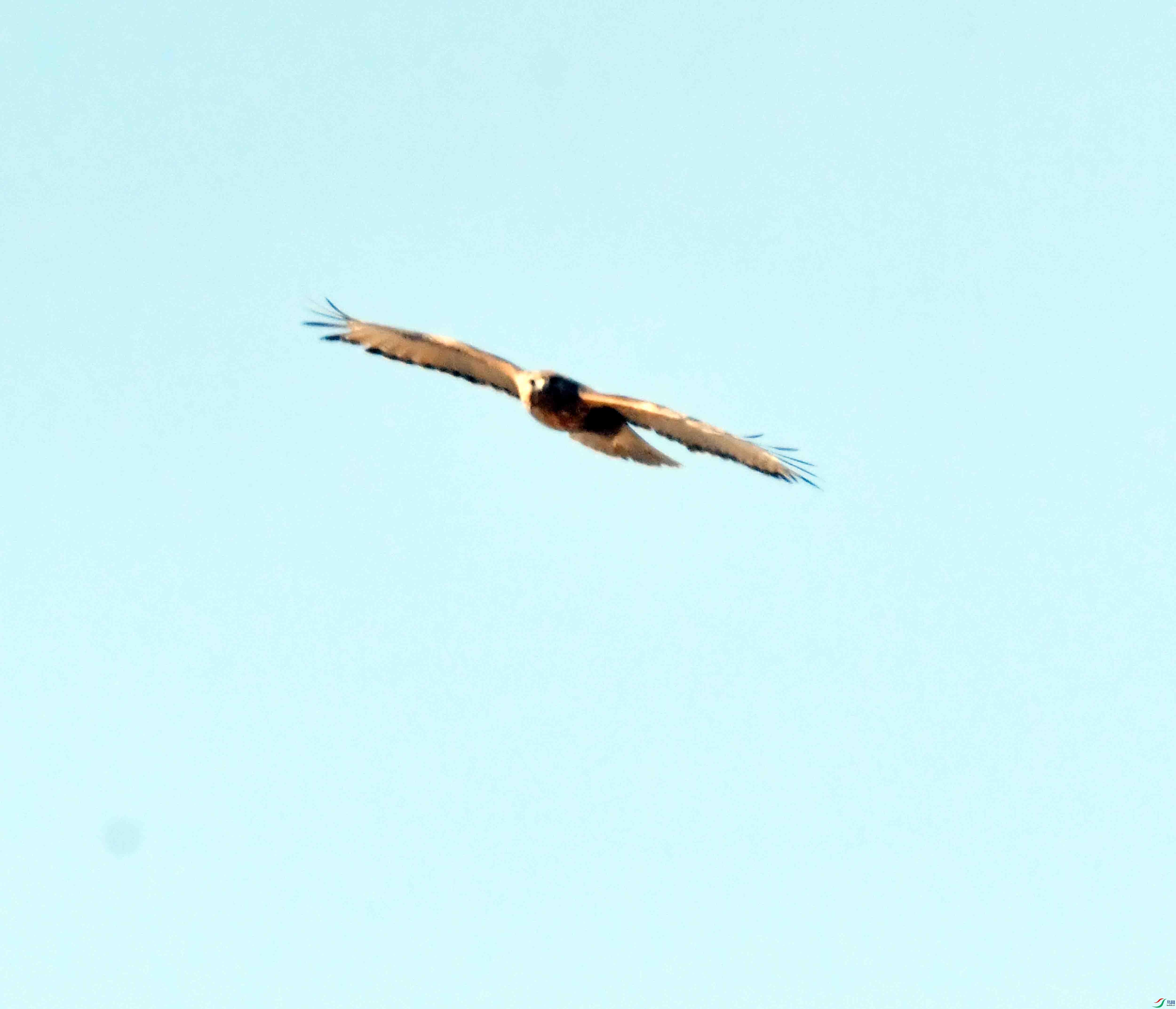 DSC_1251.JPG