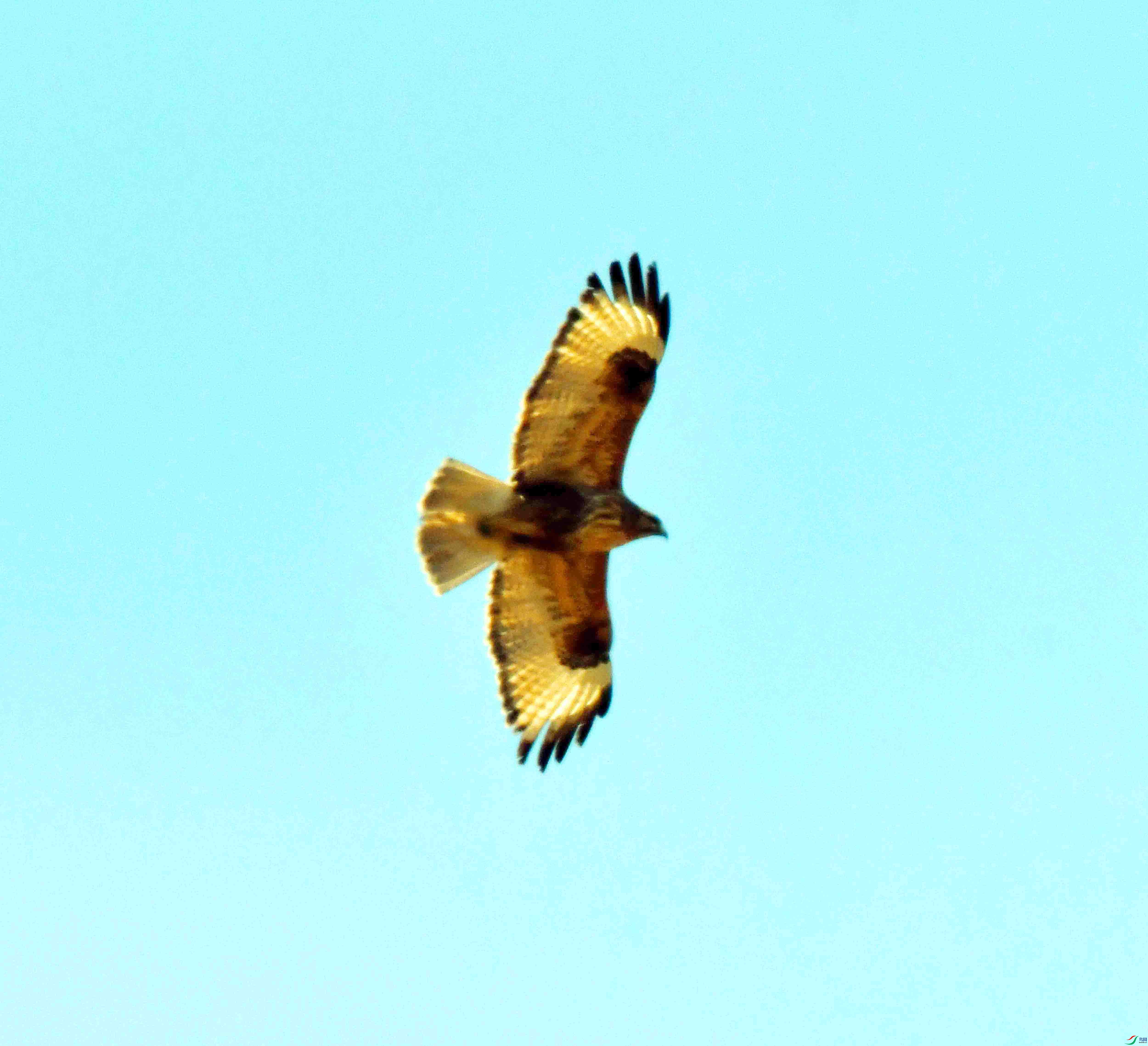 DSC_1252.JPG
