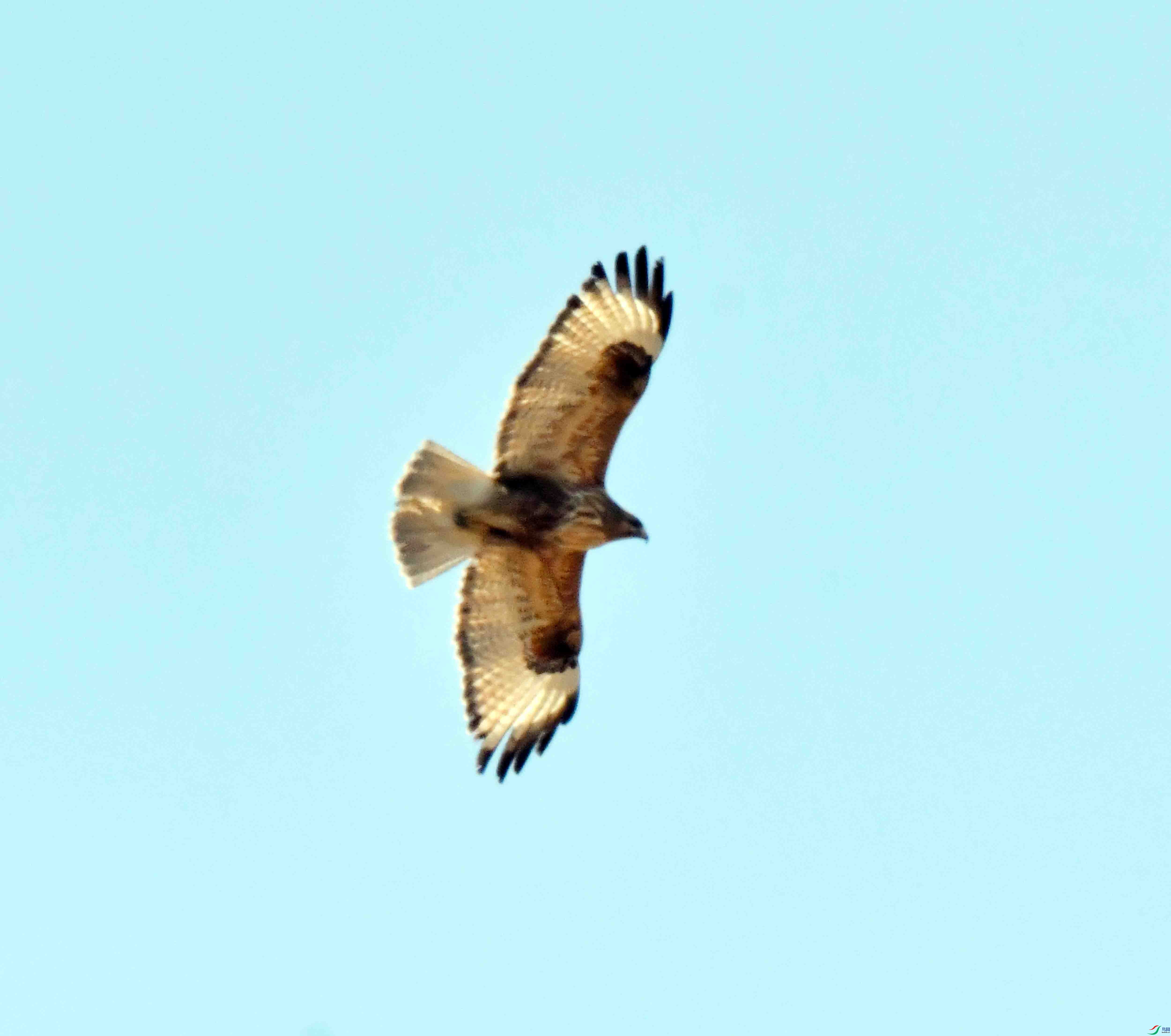 DSC_1253.JPG