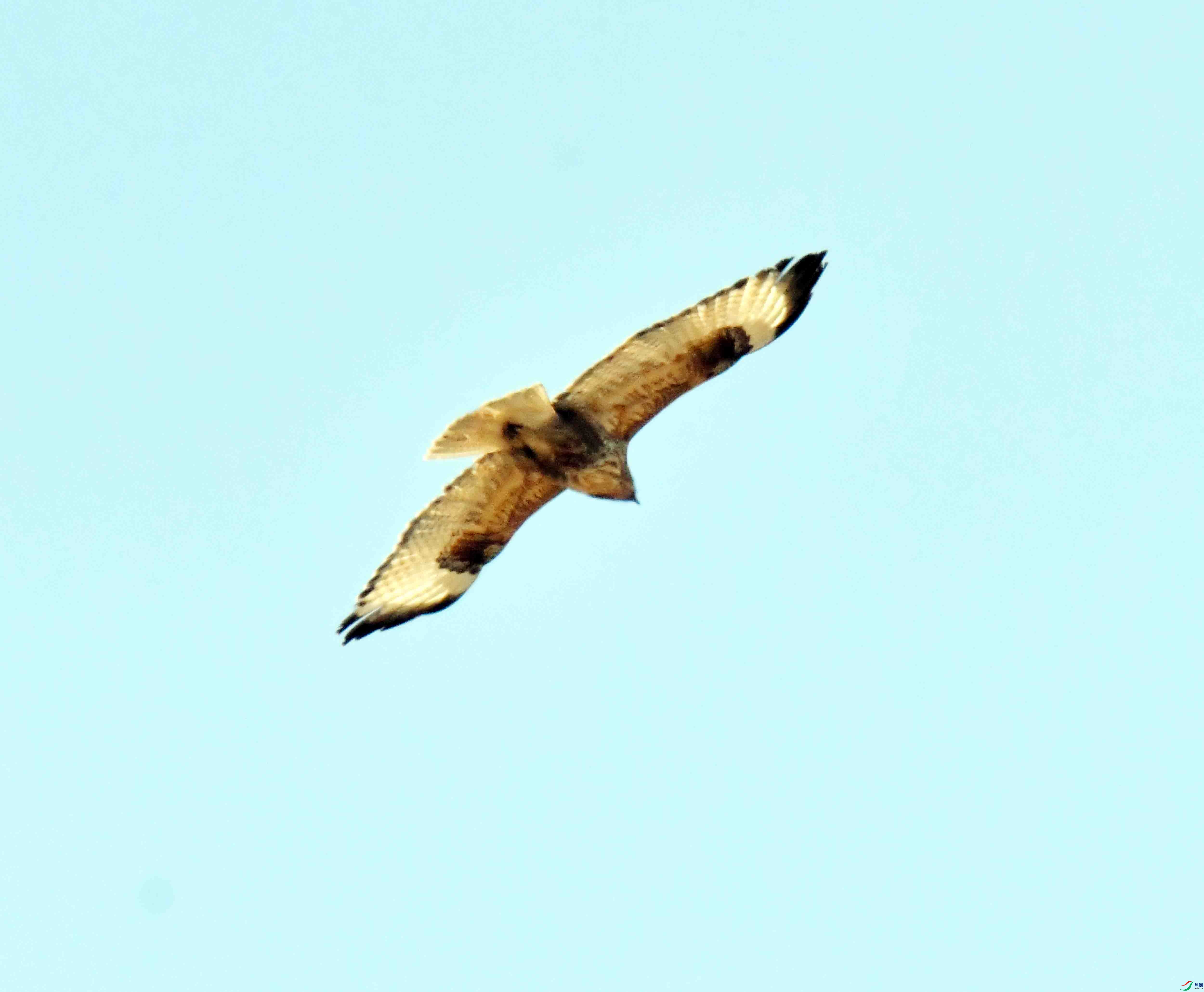 DSC_1255.JPG
