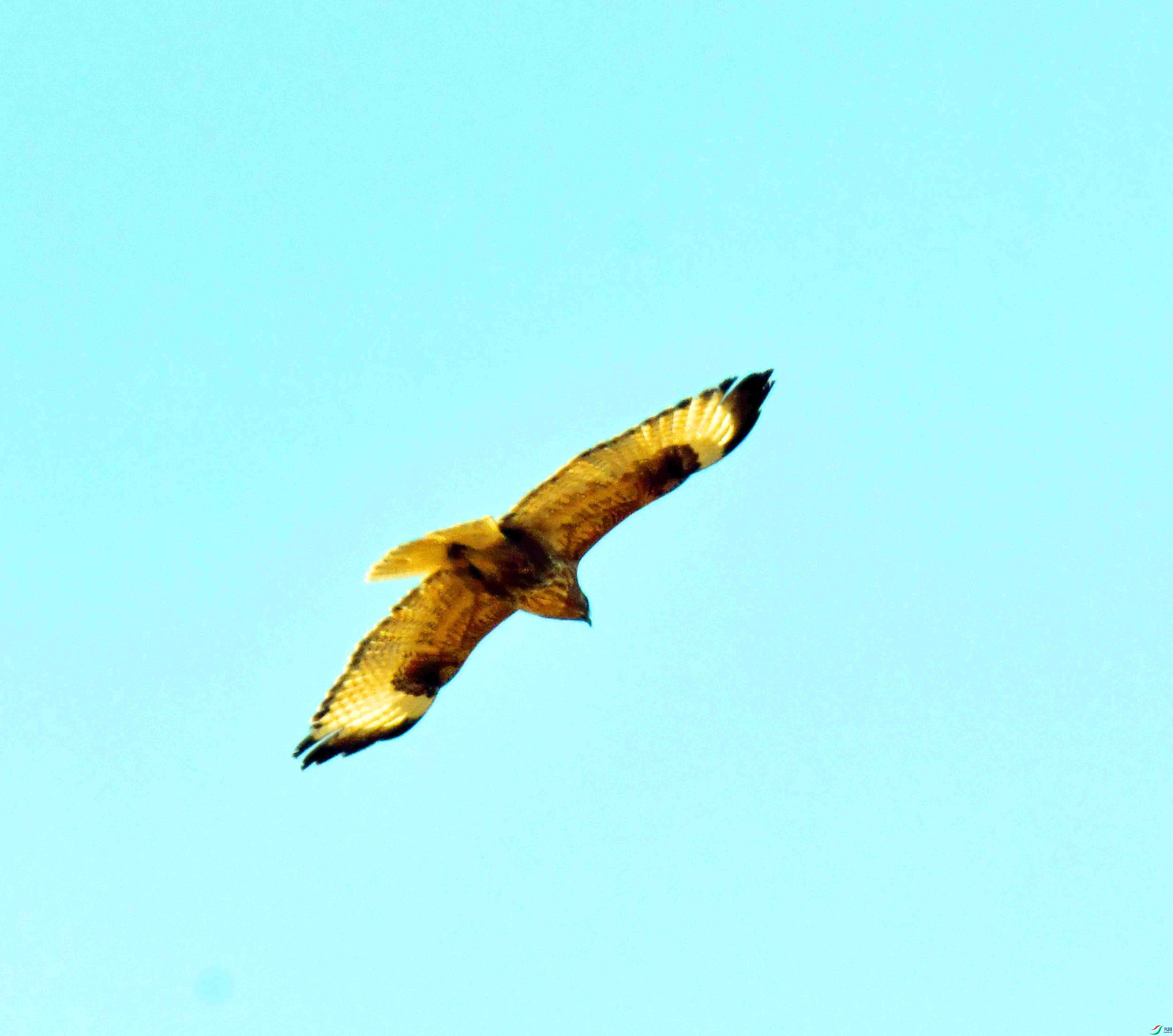 DSC_1254.JPG