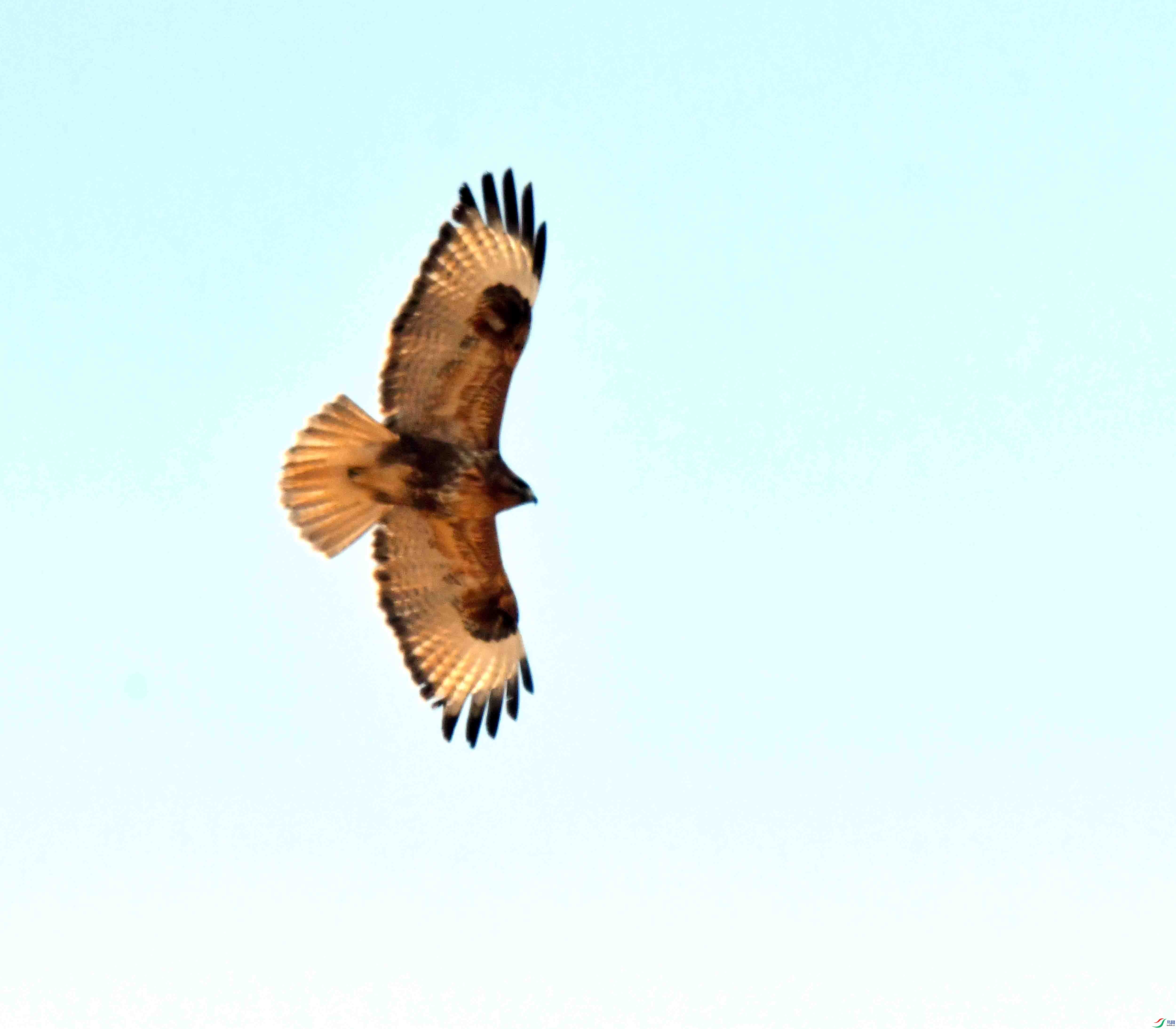DSC_3163.JPG