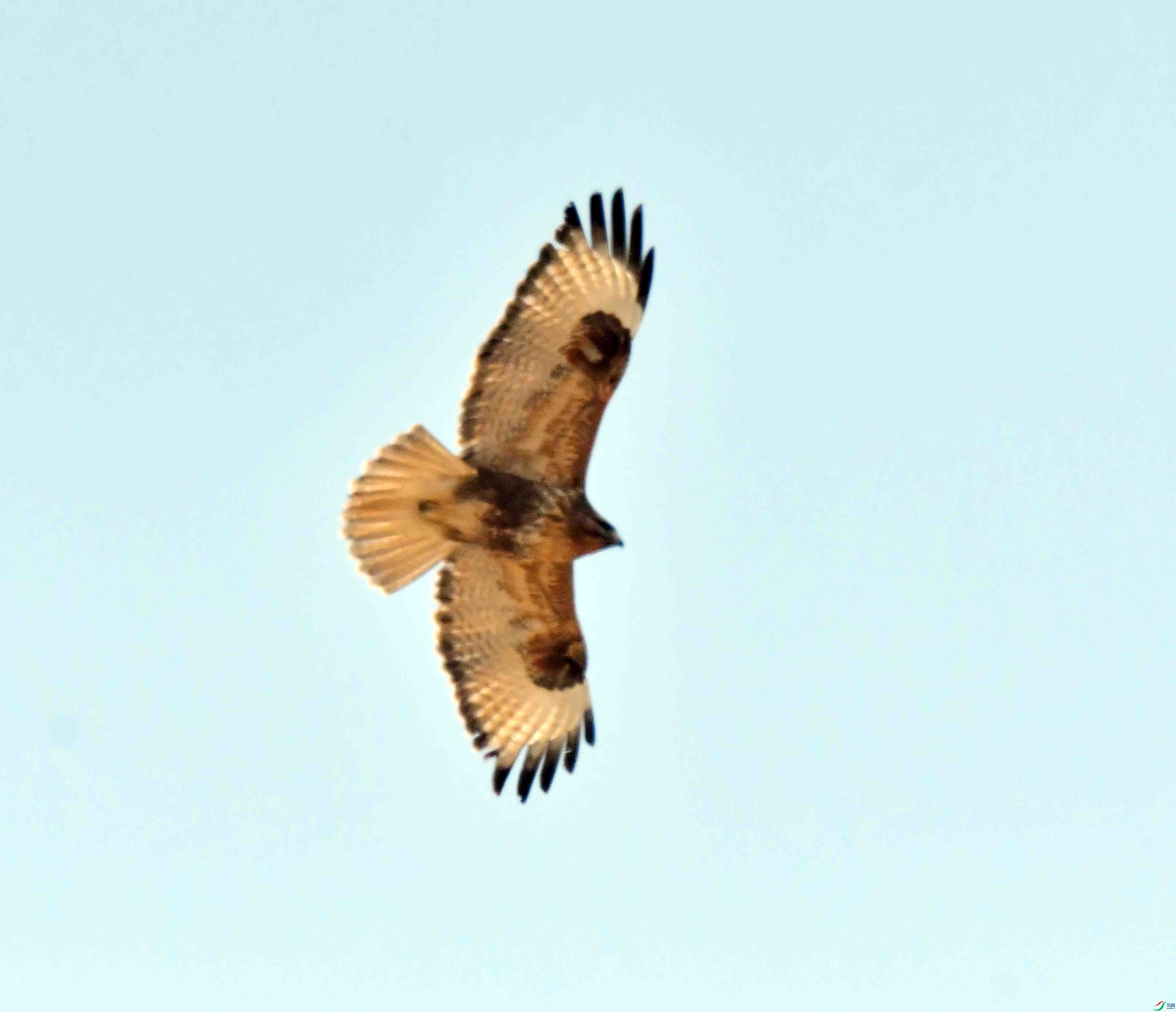DSC_3164.JPG