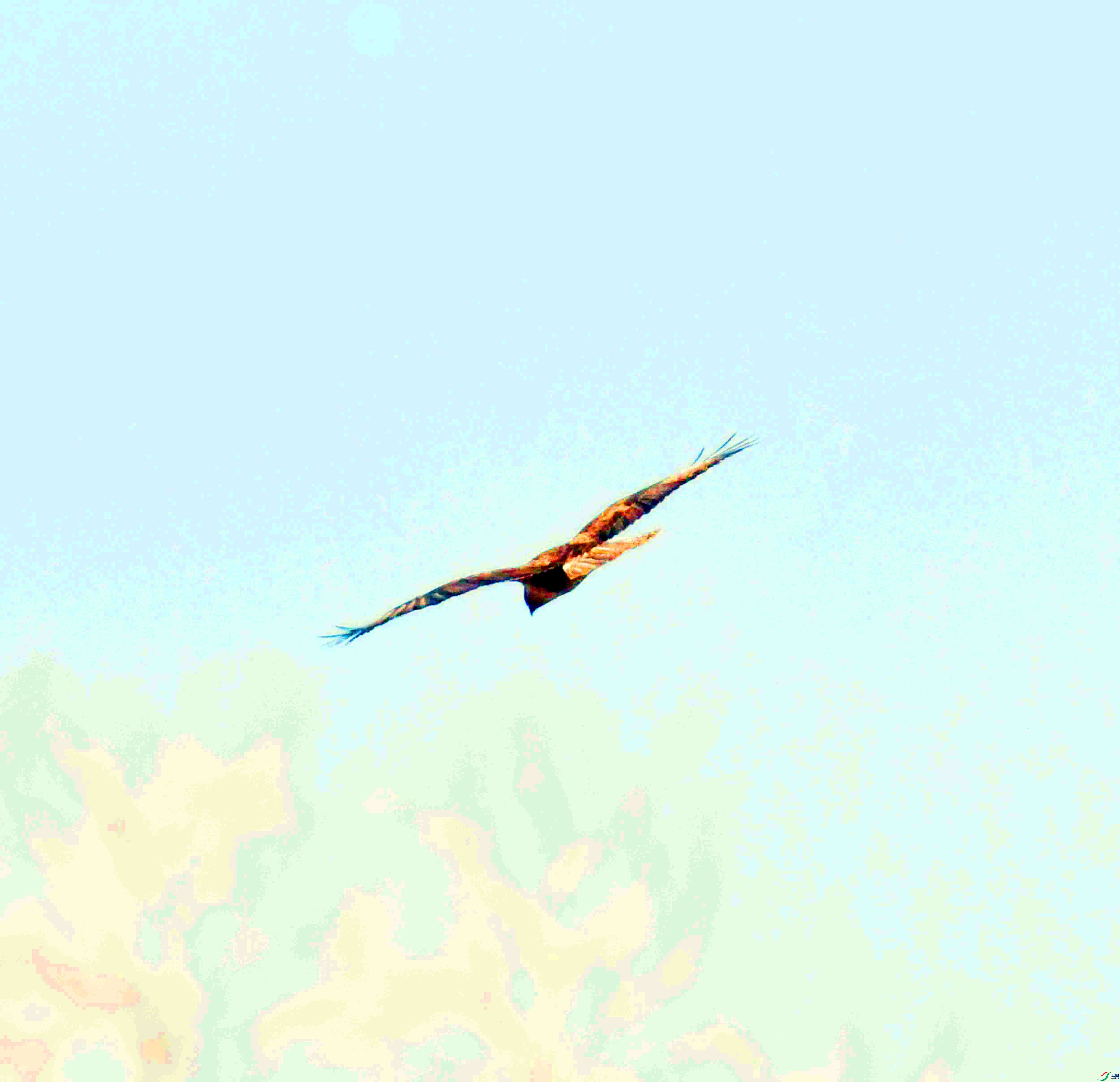 DSC_3177.JPG