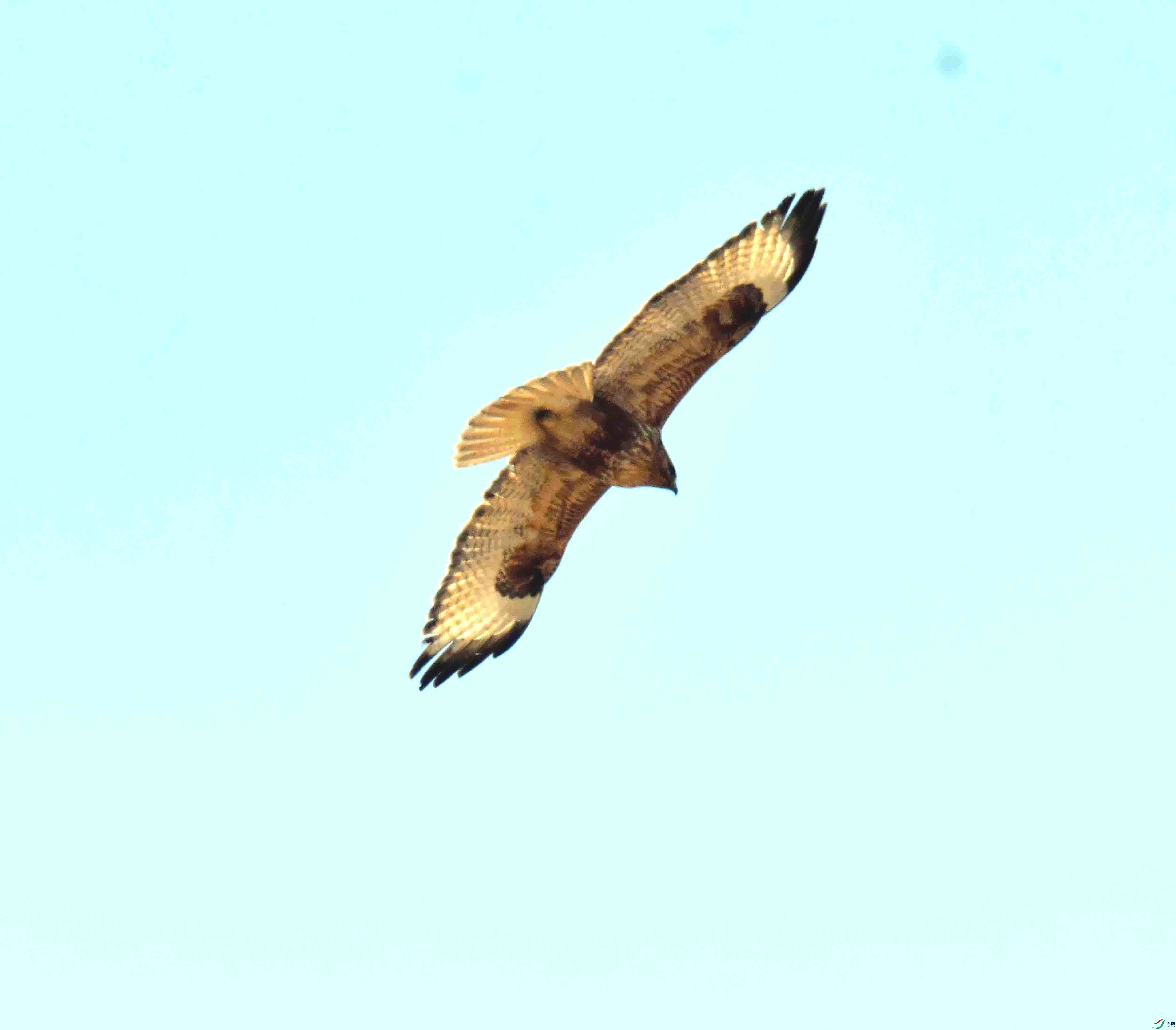 DSC_3165.JPG