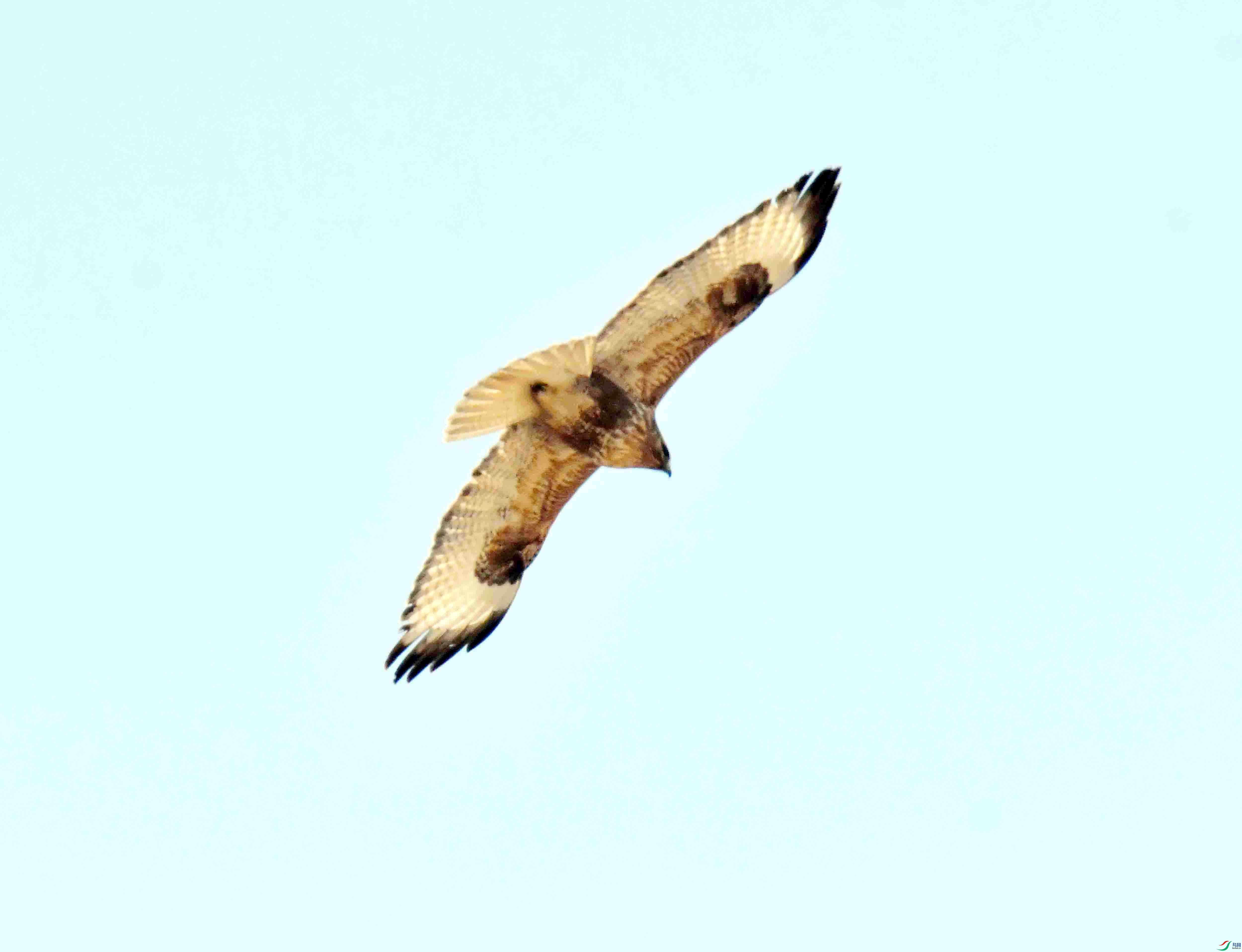 DSC_3166.JPG