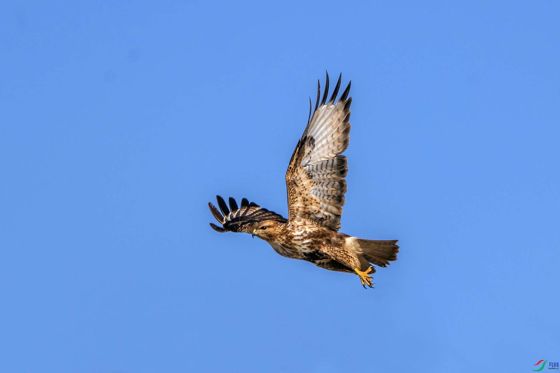 ��_AUU3000��ϲɽ