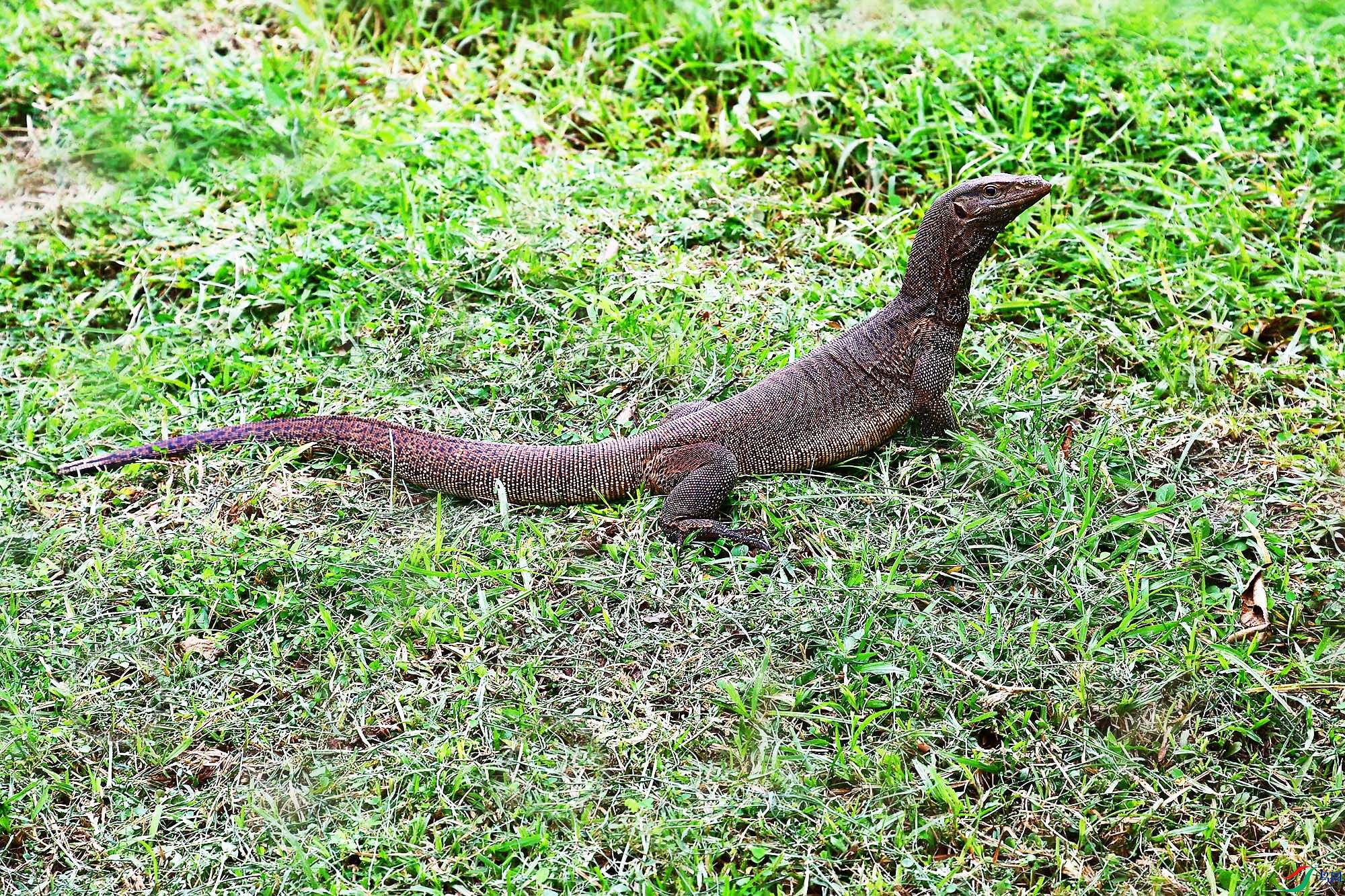 DSC_7721_.jpg