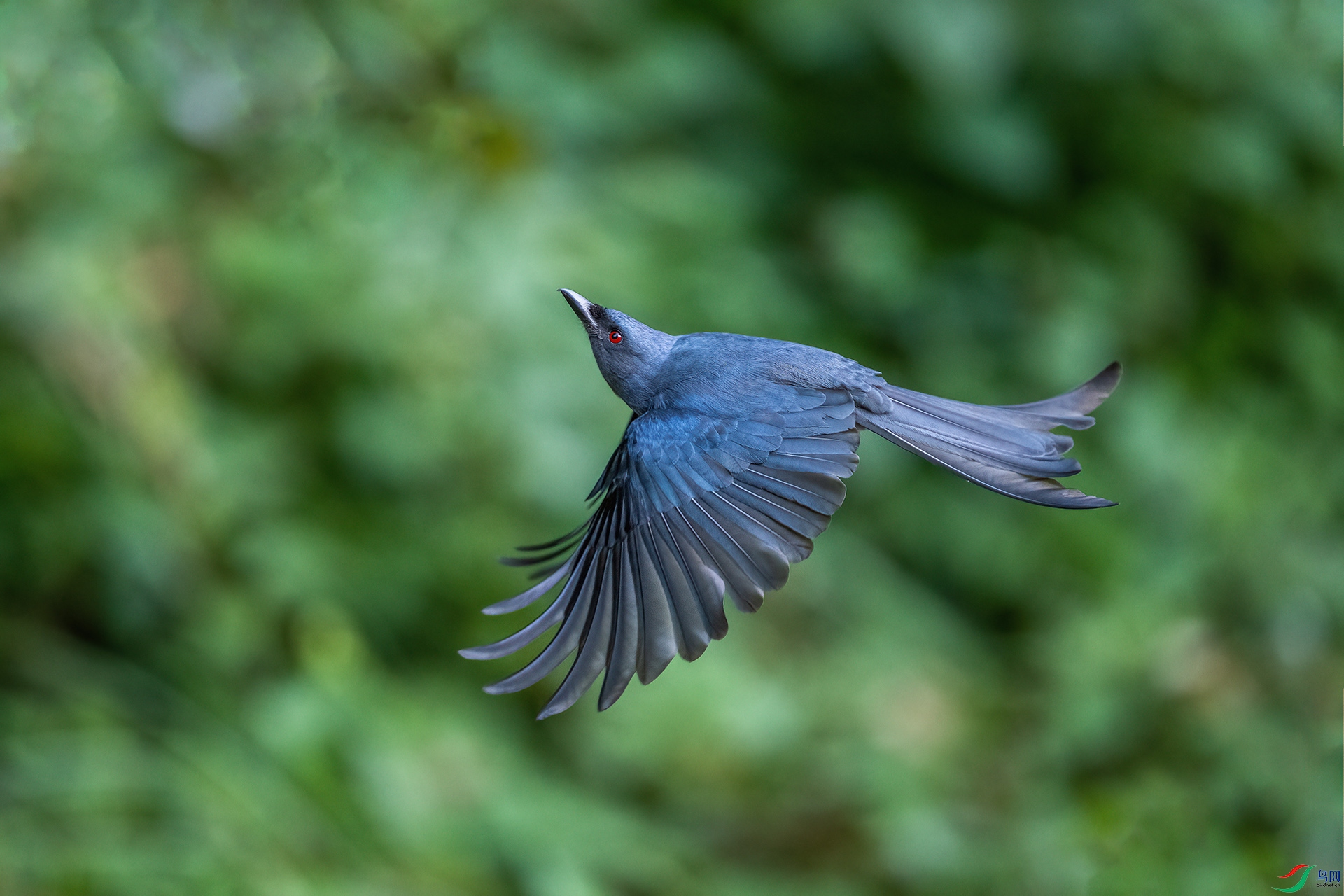 _DSC2386 ����.jpg