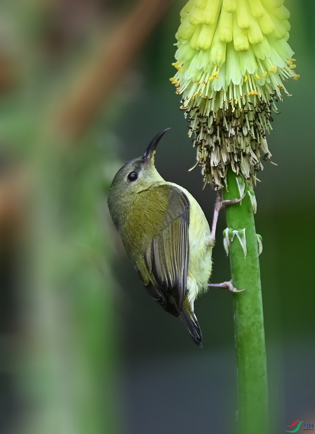 DSC_4583_����_����.jpg