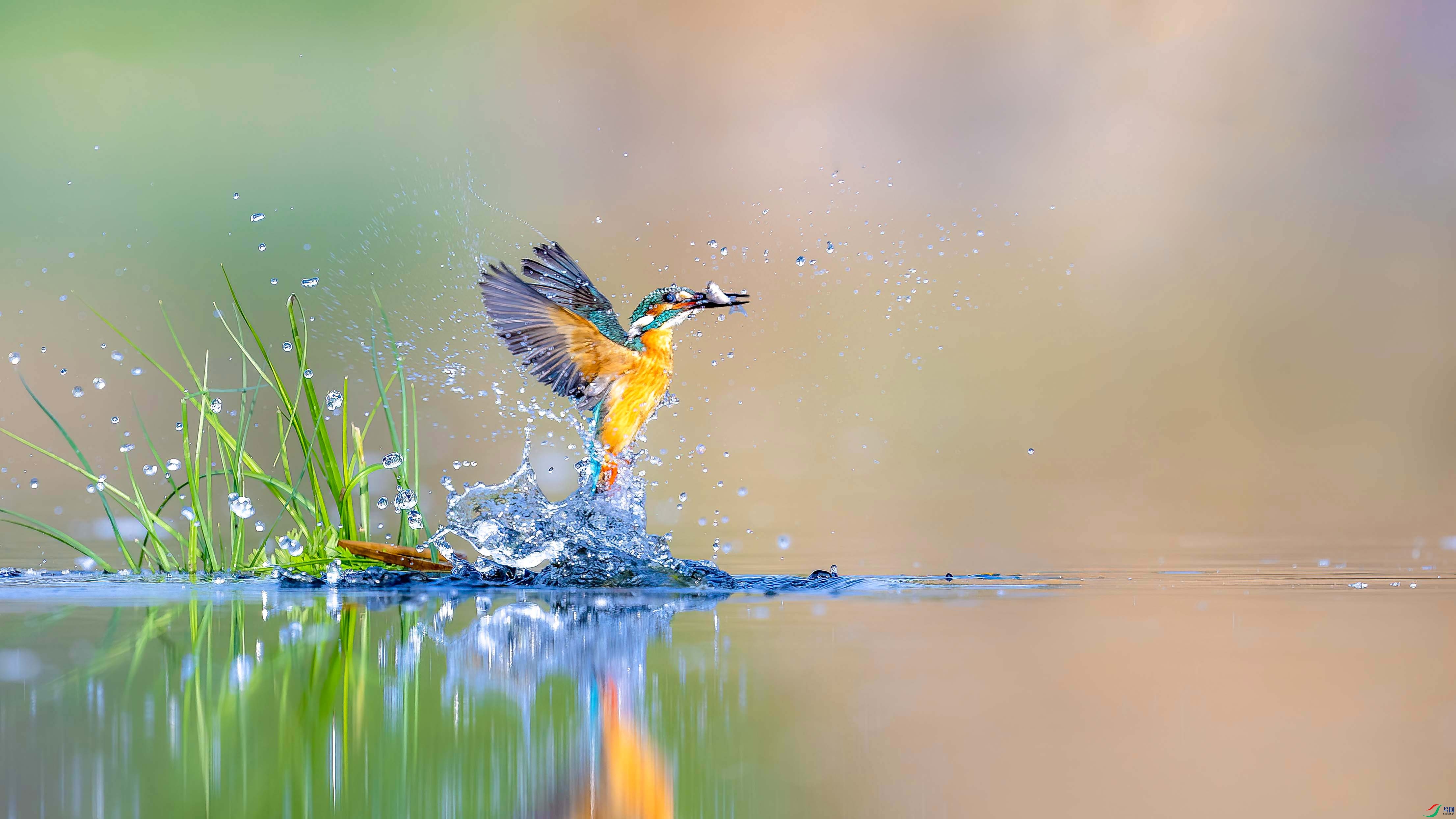 _DSC1318 ���� 4.jpg