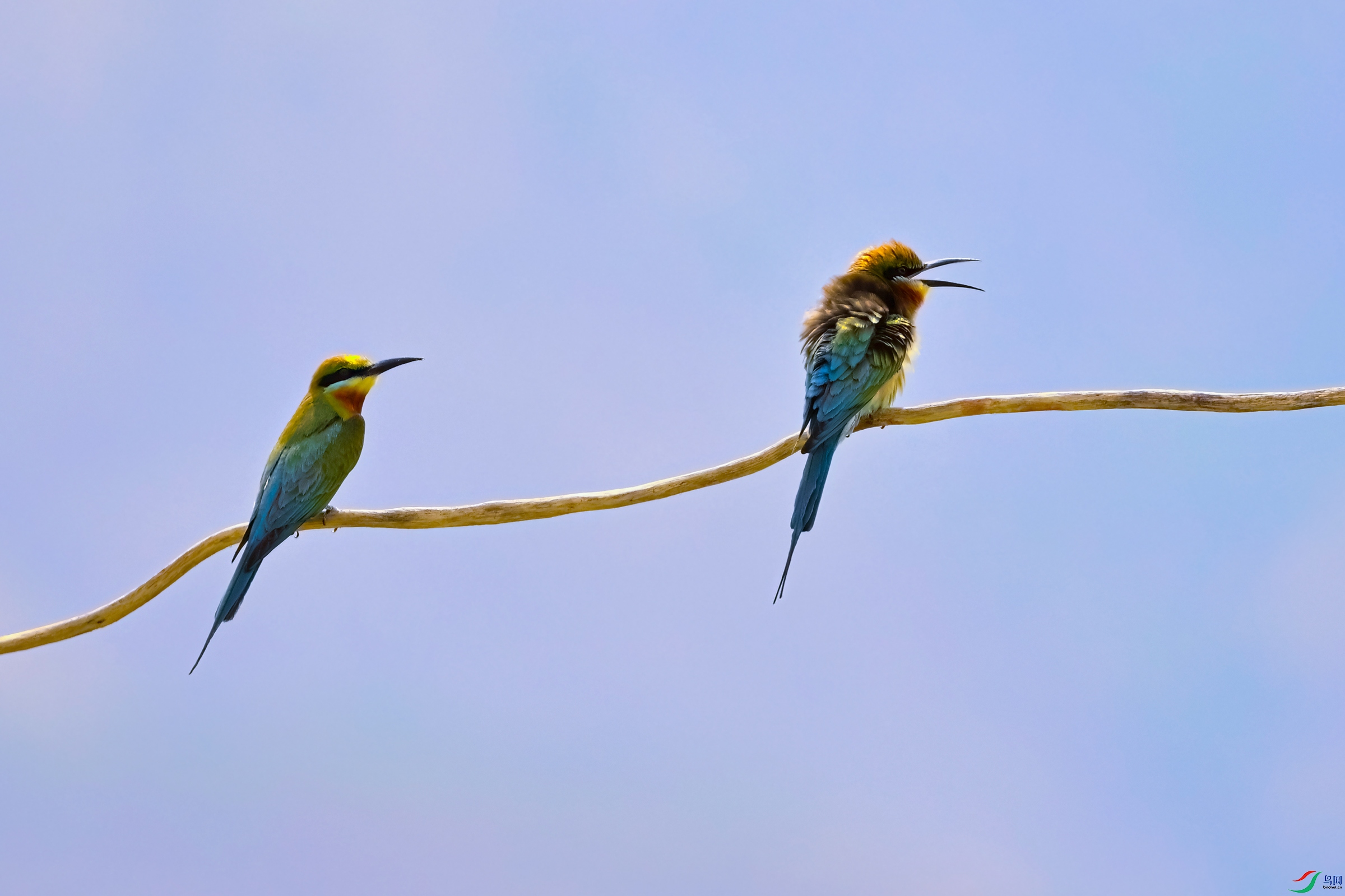 _DSC1380x.jpg