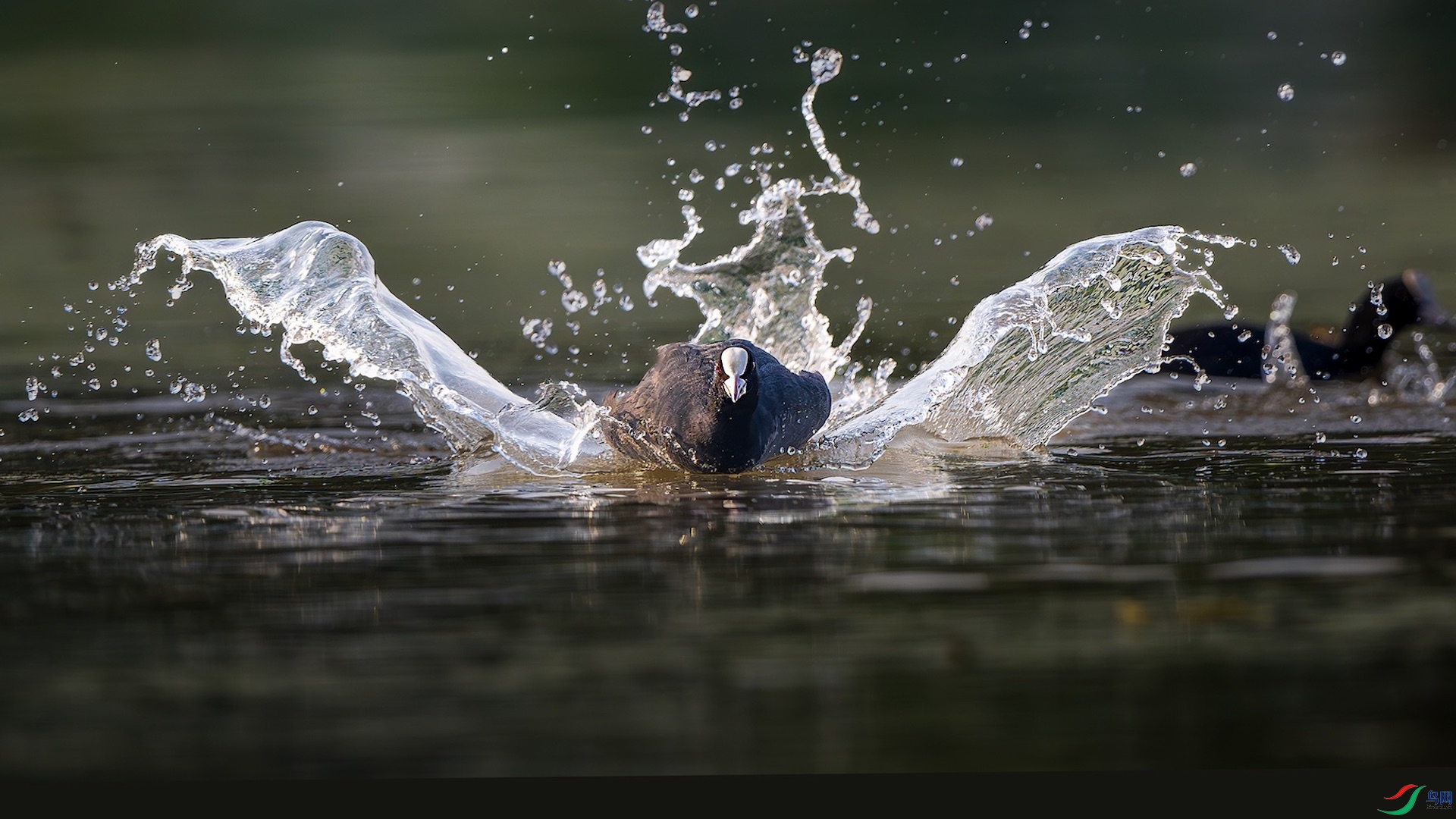 1_XXL8889-����ǿ-NR ���� 2.jpeg