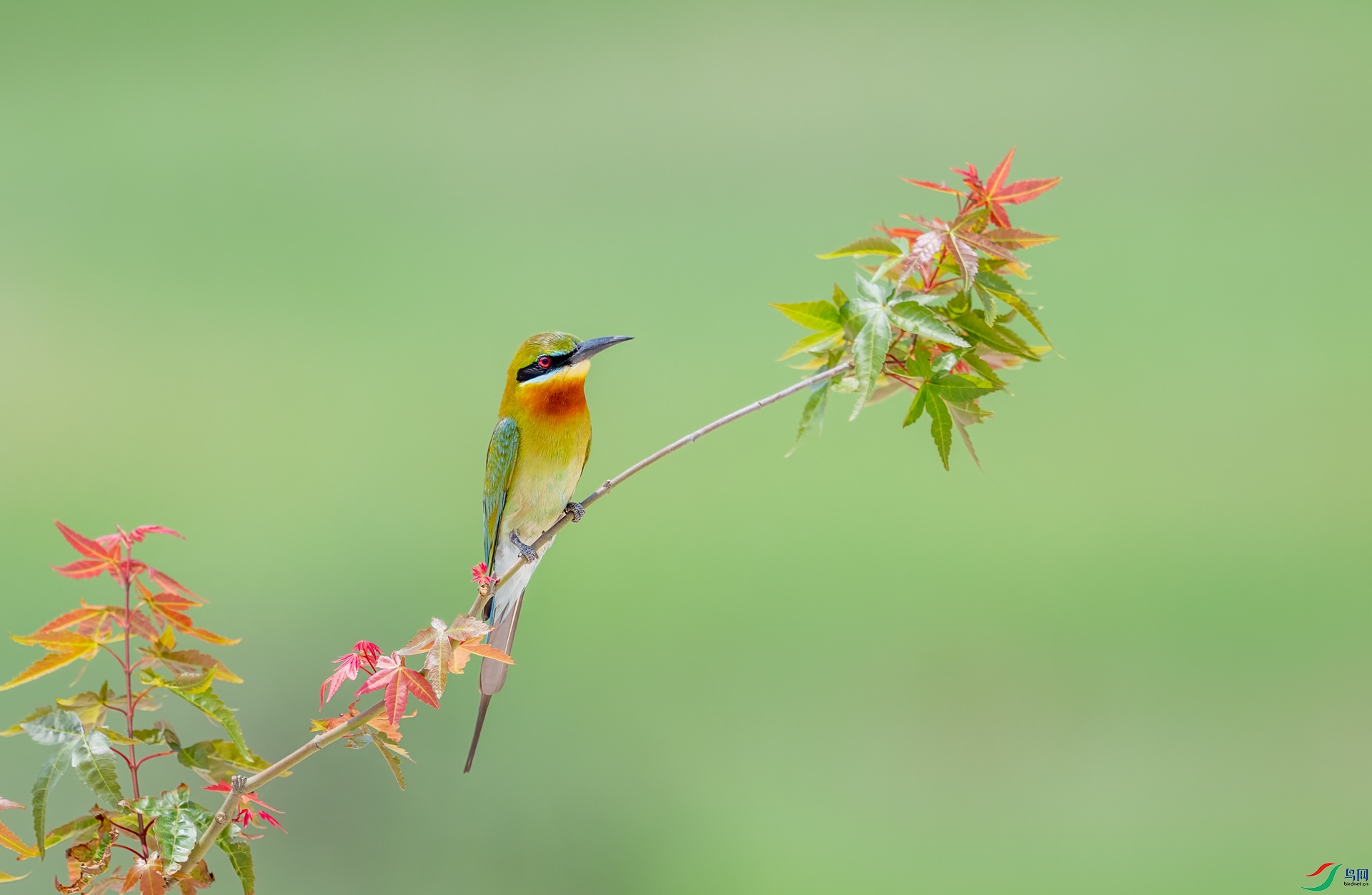 DSC_9129.jpg