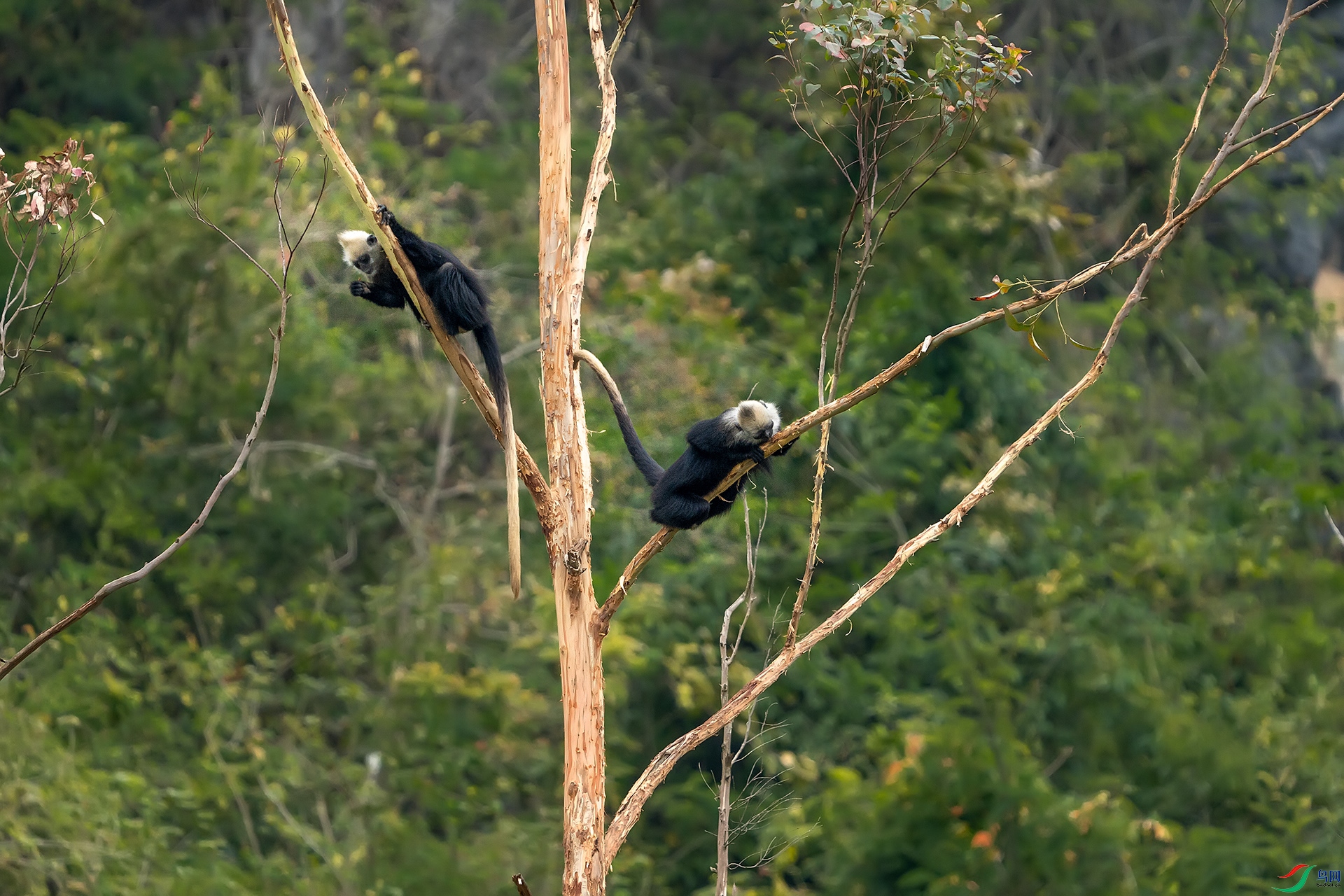 DSC02736 ����111111111111.jpg