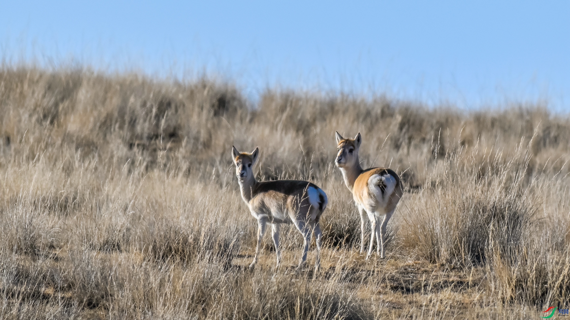 _DSC5799_����.jpg