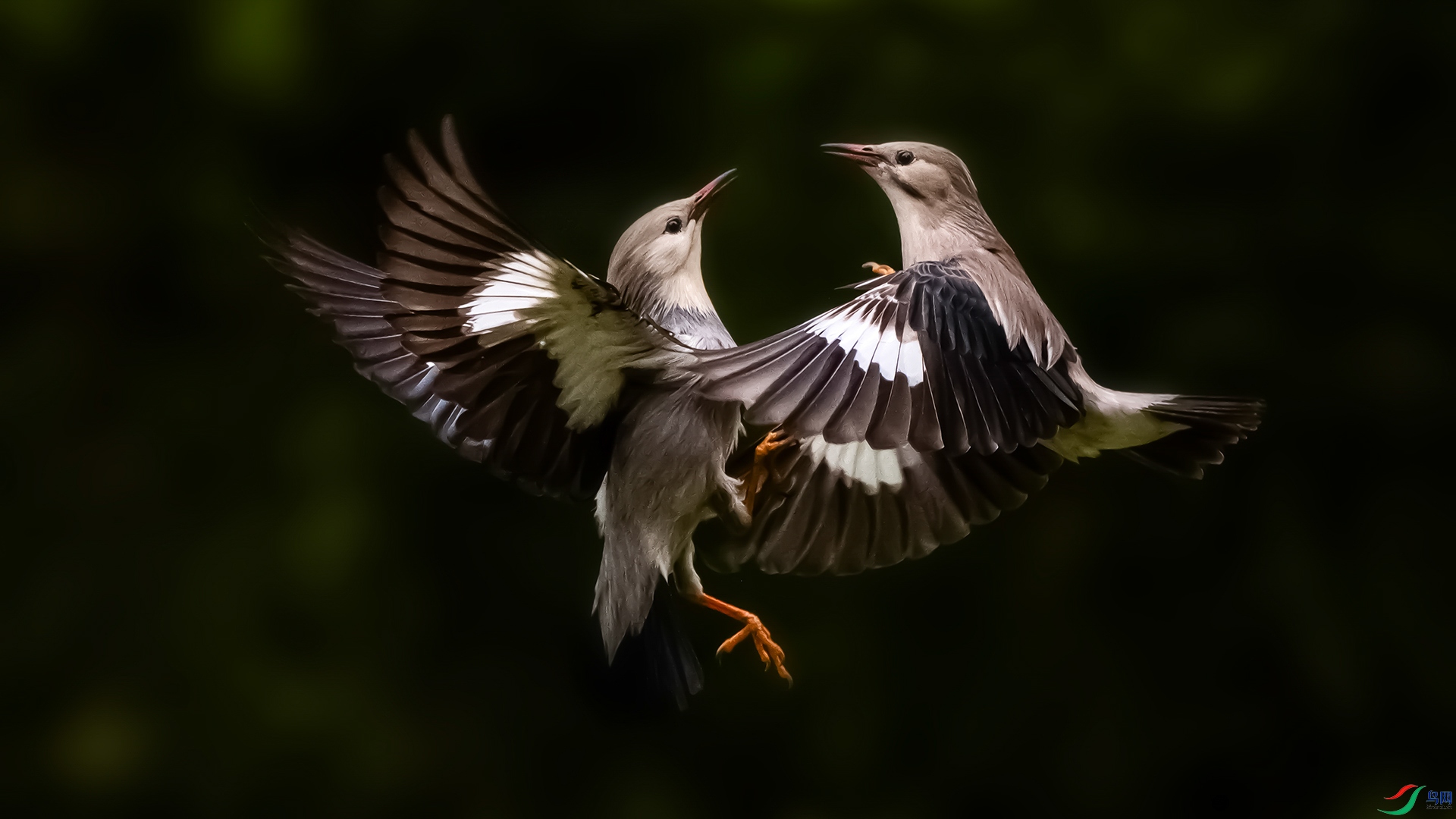 �������