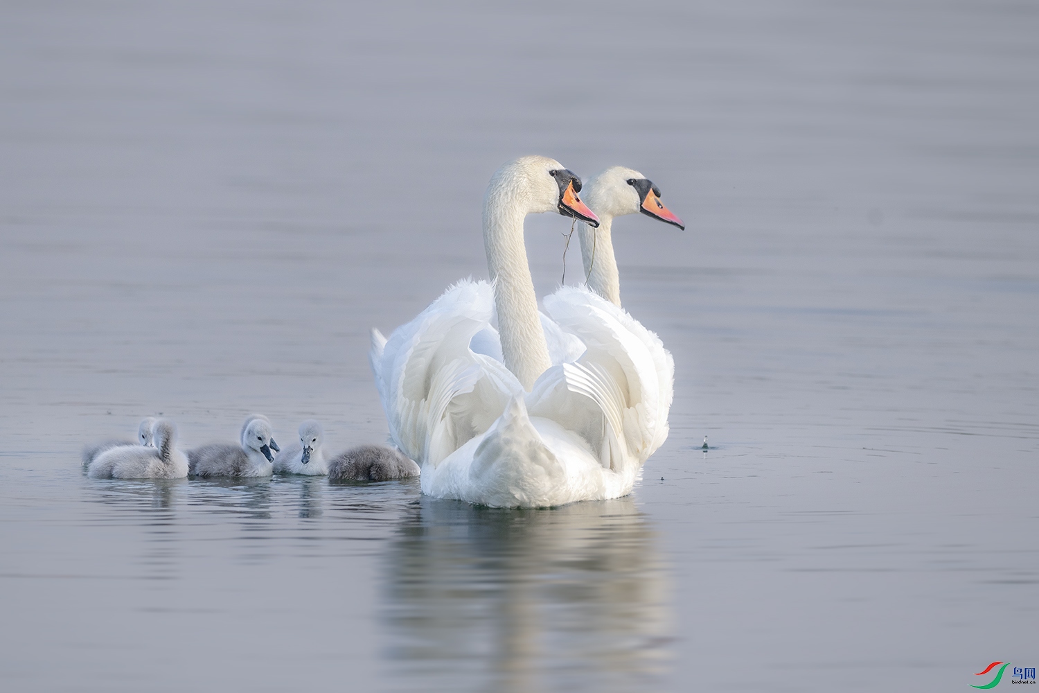 DSC_2634.jpg