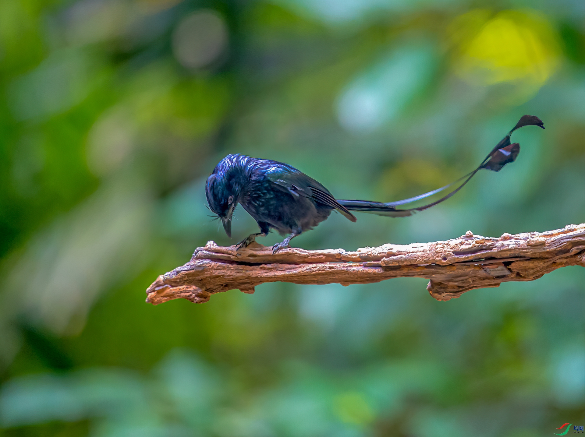 _DSC7352.jpg