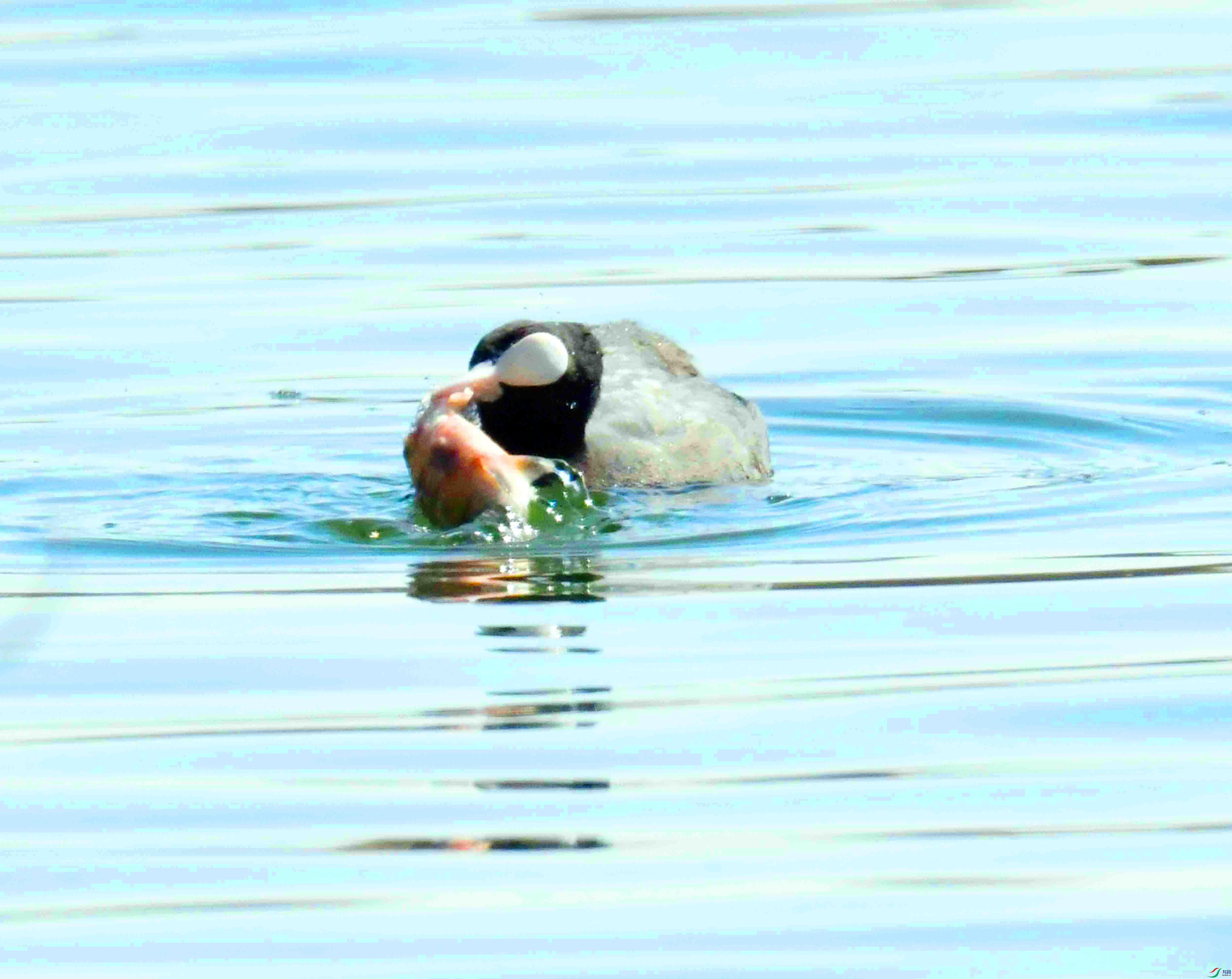 DSC_9977.JPG