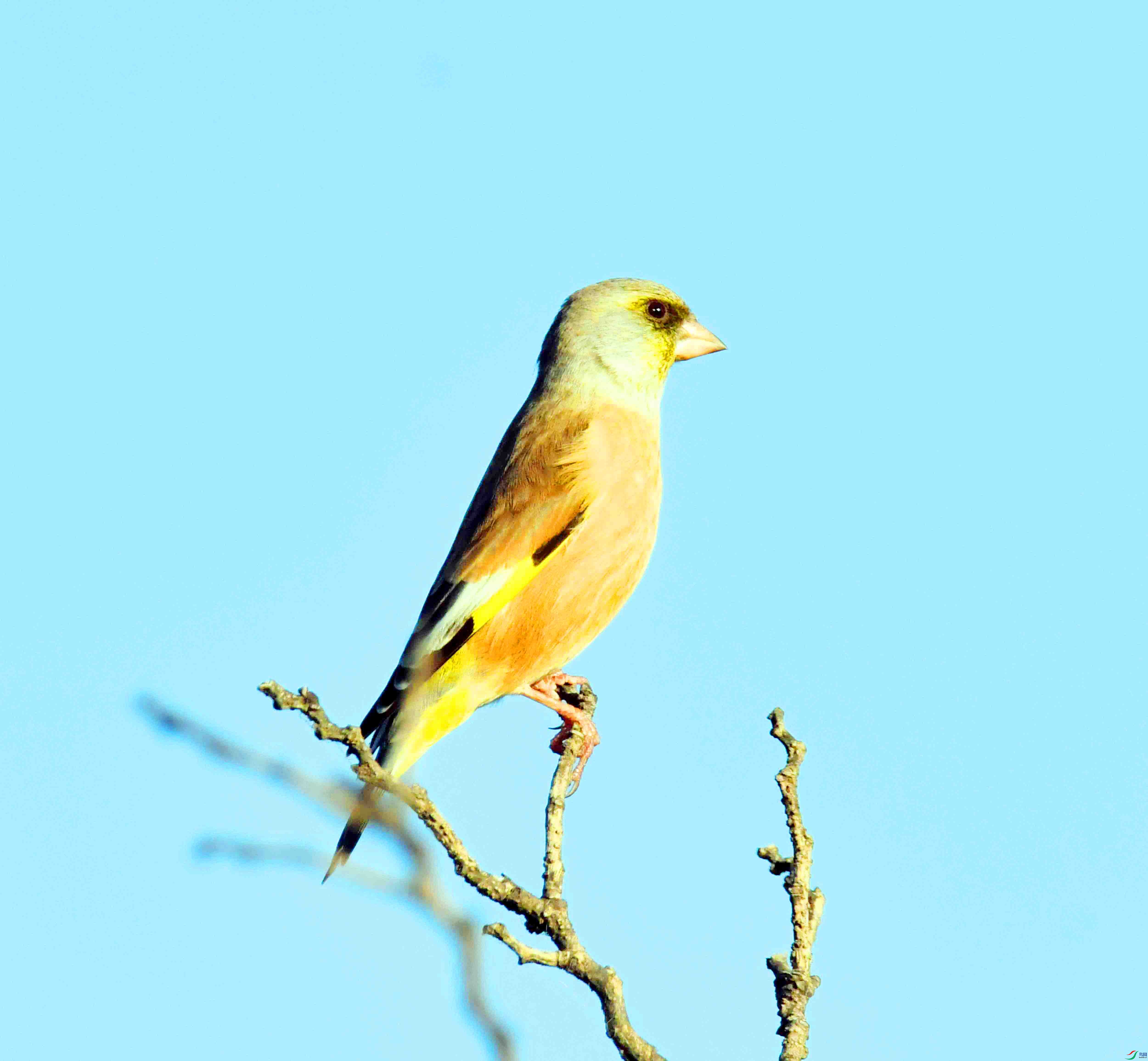 DSC_9912.JPG