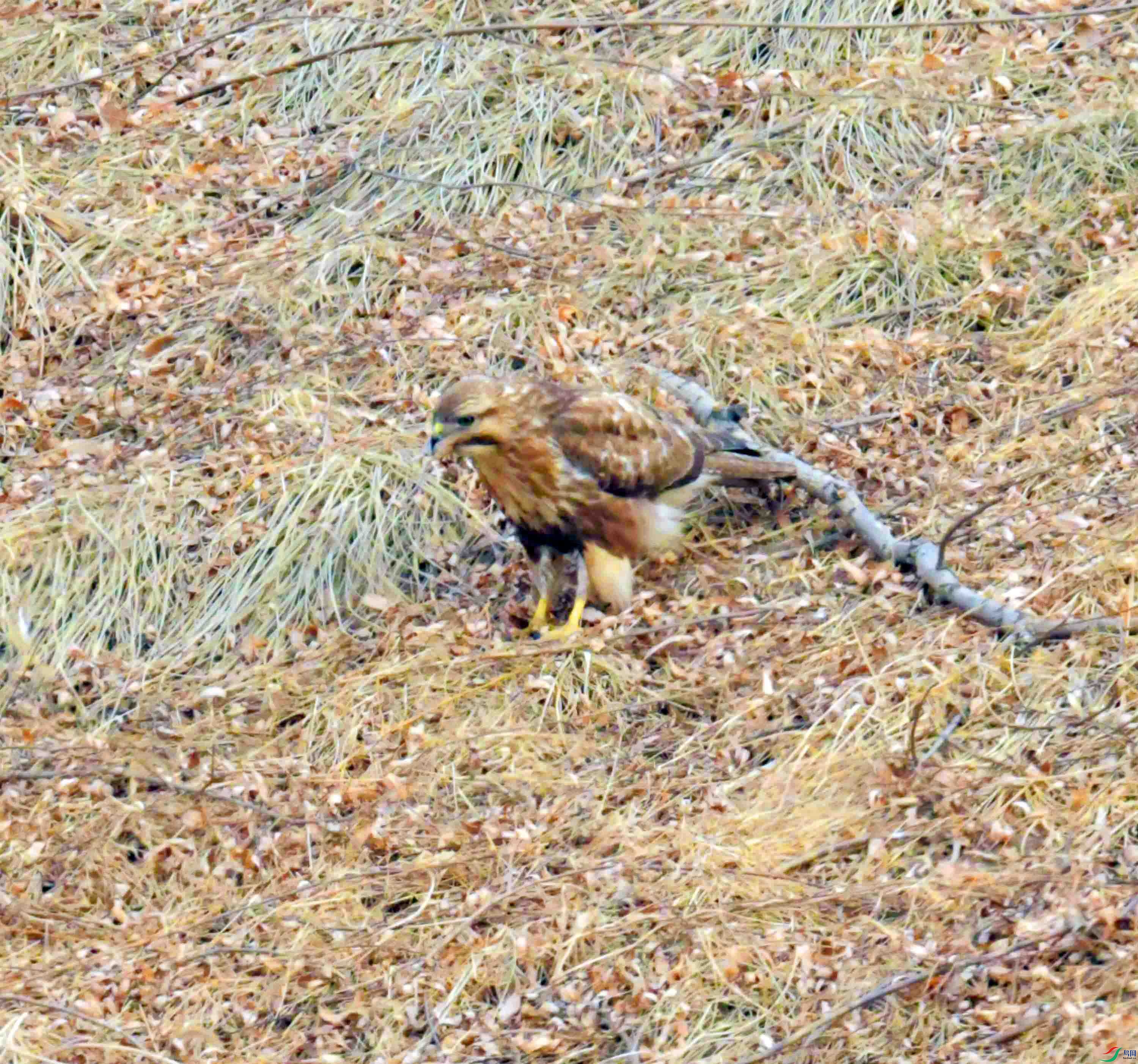 DSC_2659.JPG