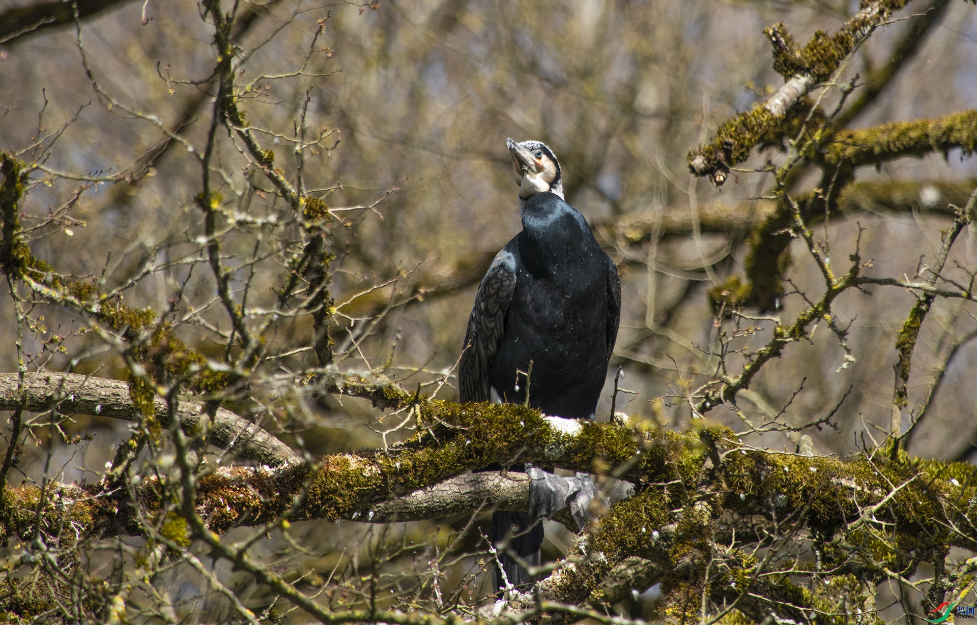 XQD_3633 �����.jpg