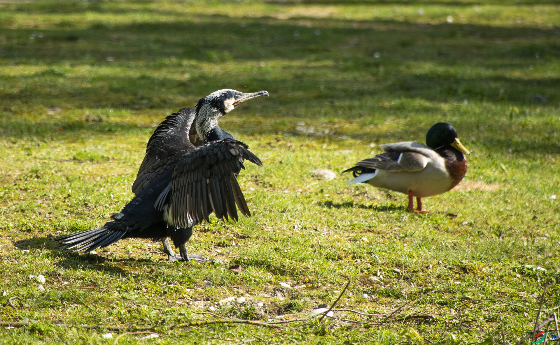 XQD_5367 �����.jpg