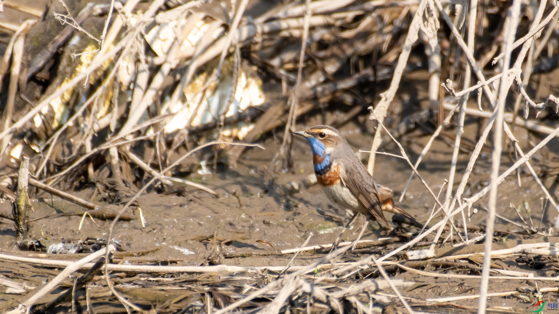 _DSC6860.jpg