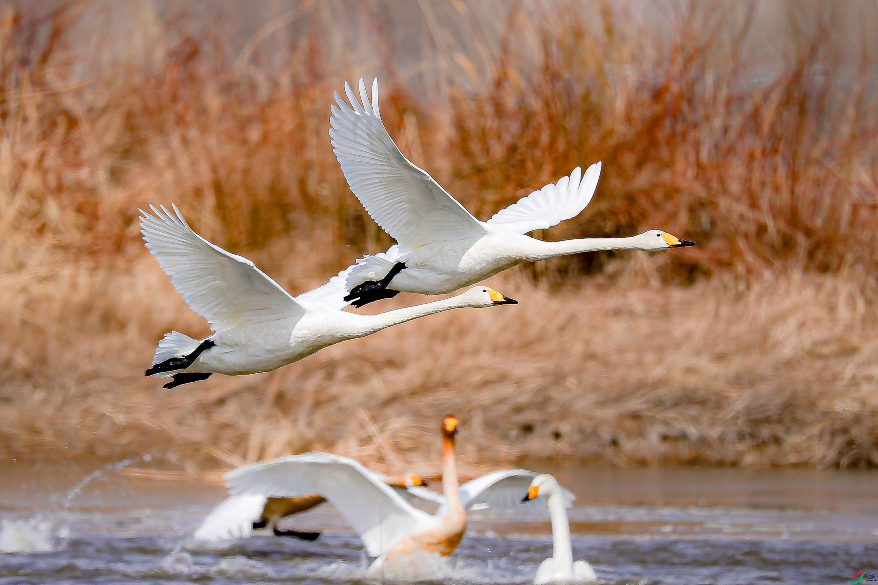 ׷����һ�� ������ǧ�� 2