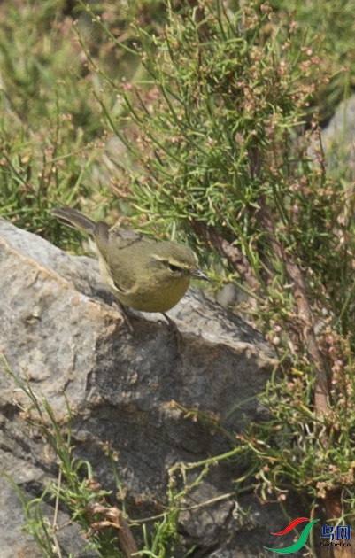 CS3U0452.jpg