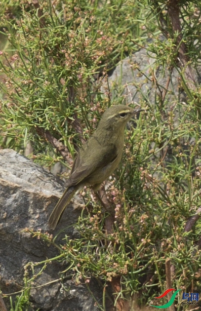 CS3U0460.jpg