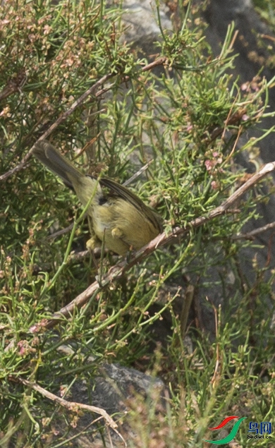 CS3U0468.jpg