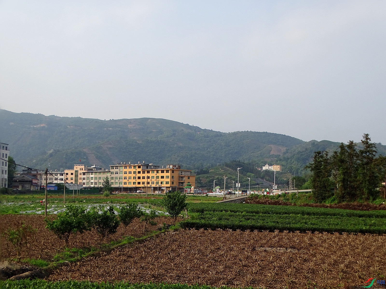 DSC05292_����.jpg