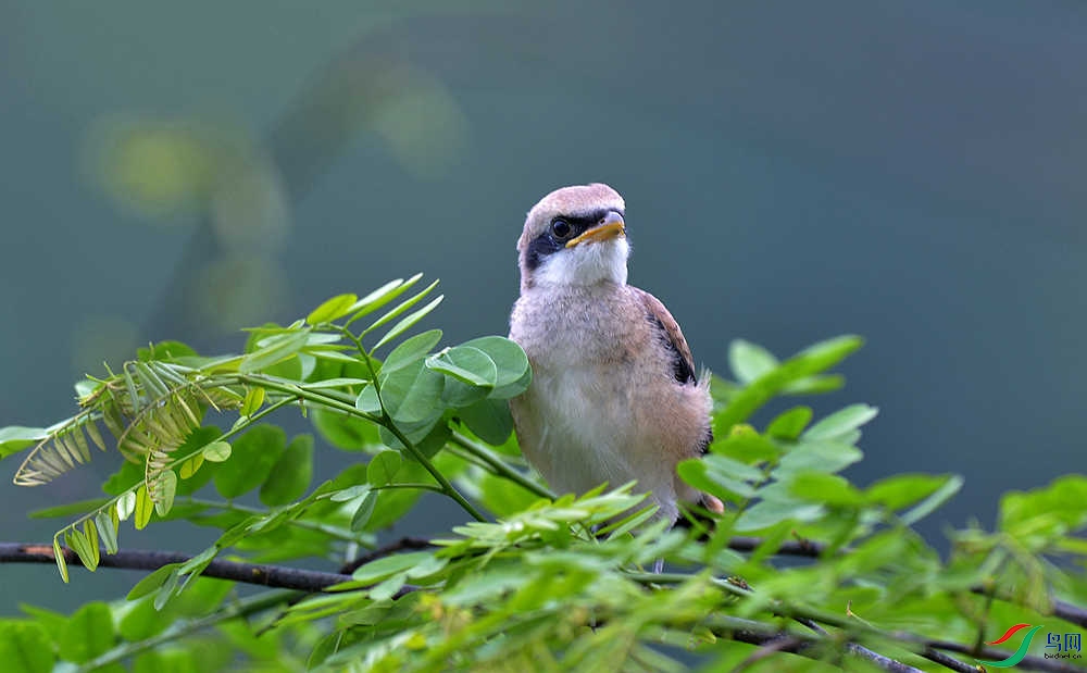DSC_3812.JPG