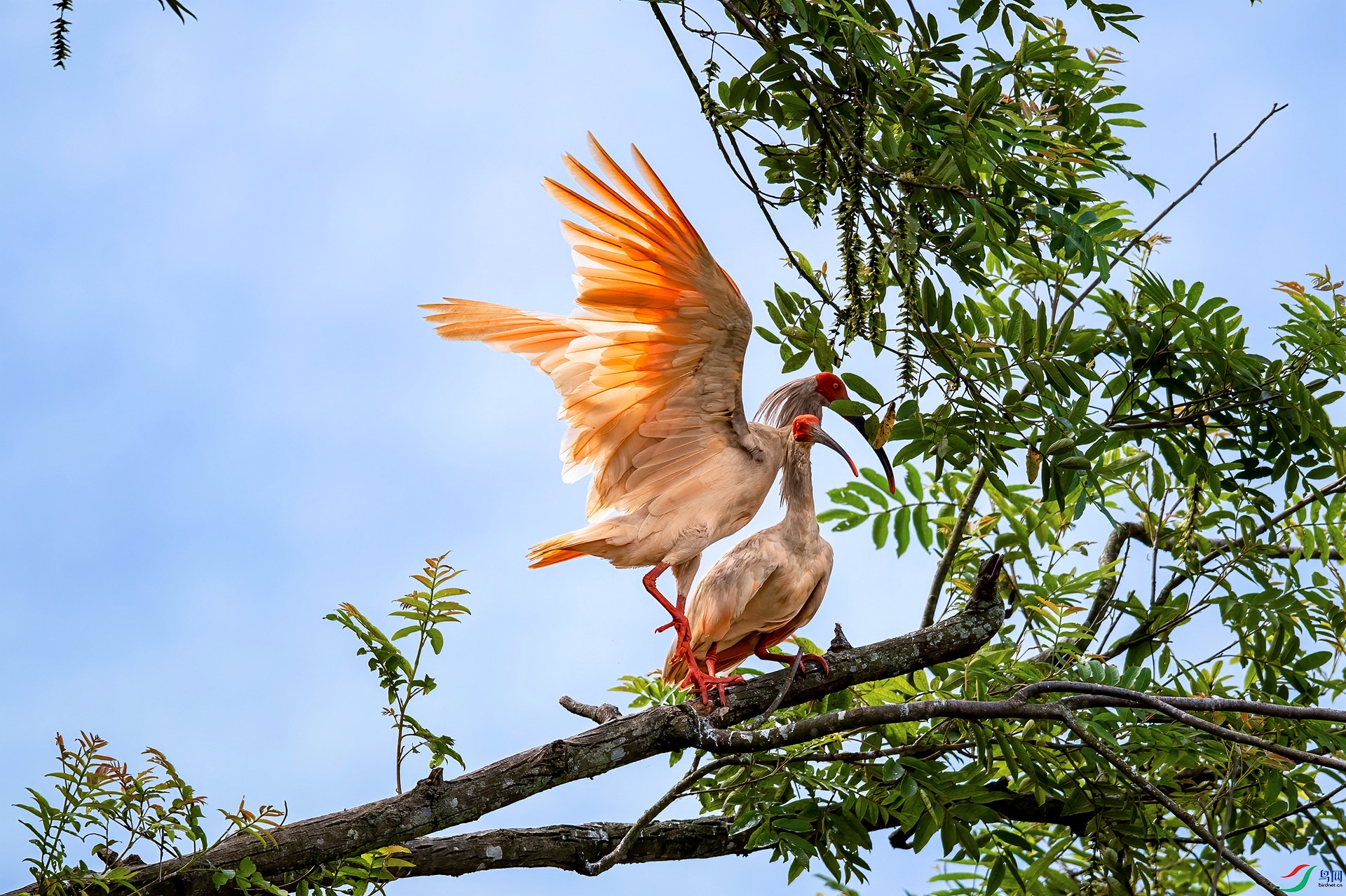 DSC_0943 ����_����.jpg