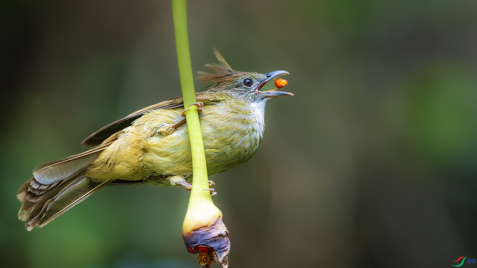 4_XXL0724-����ǿ-NR ���� 2.jpeg