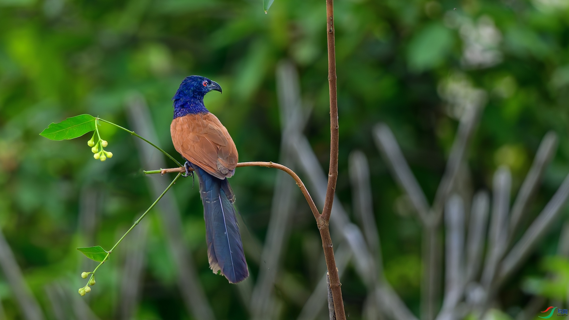 4_XXL6601-����ǿ-NR ����.jpeg