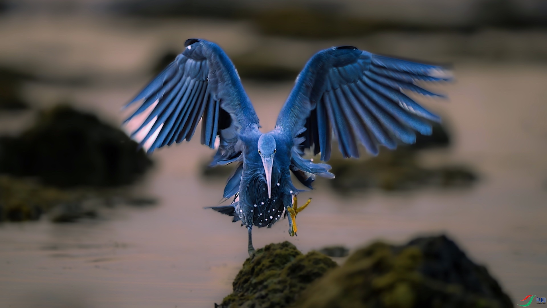 4_XXL7433-����ǿ-NR ����.jpeg