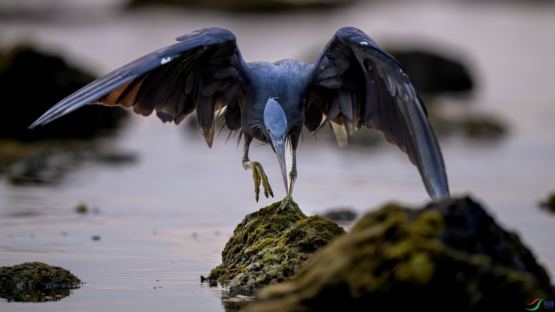 4_XXL7438-����ǿ-NR ����.jpeg