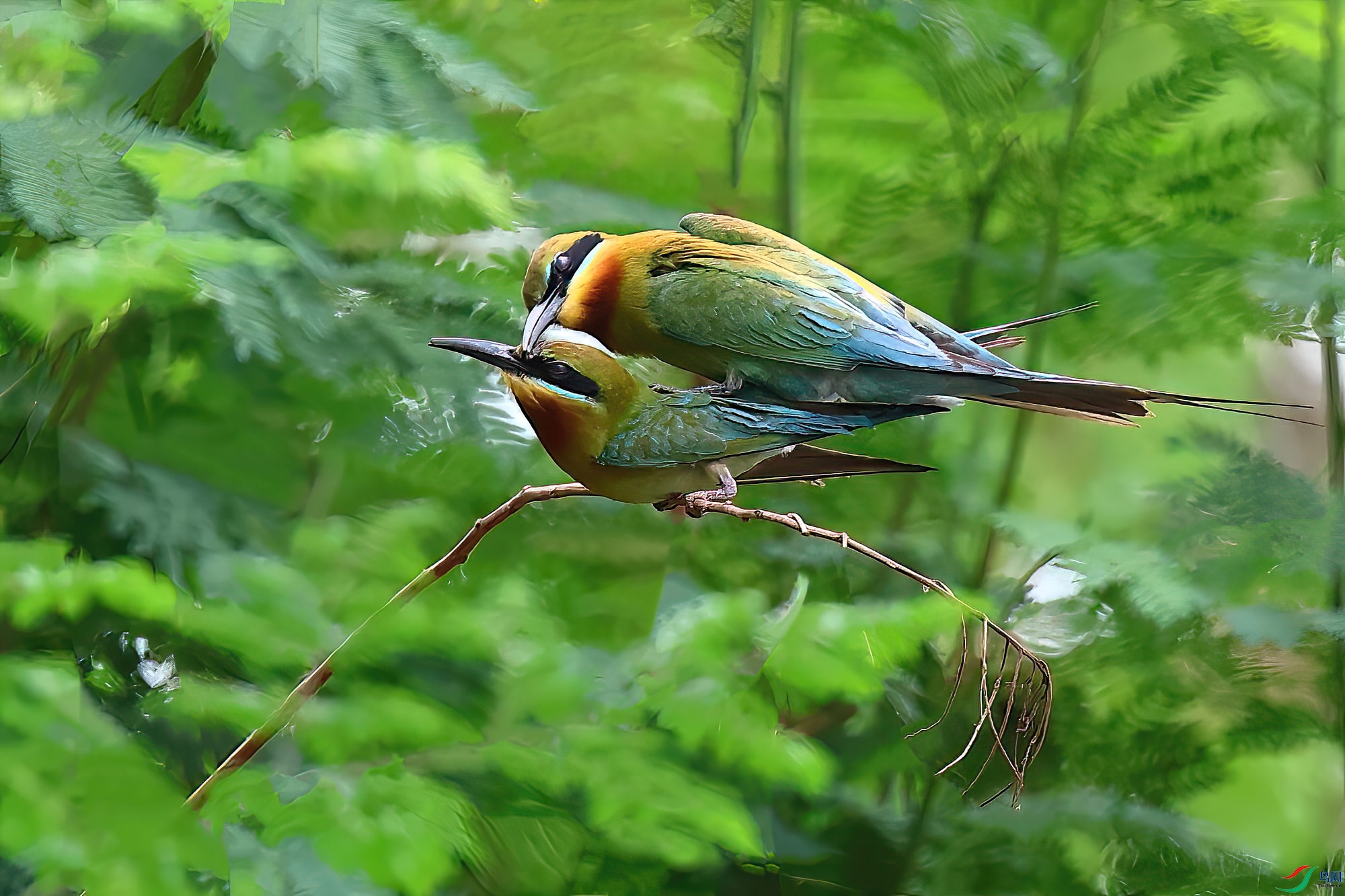 �������硪��