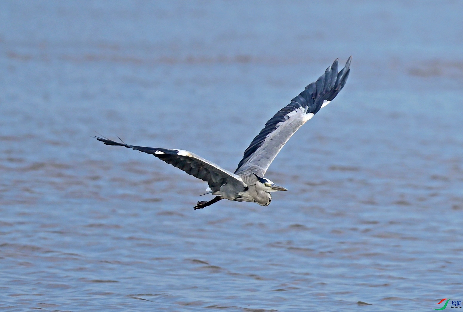 _DSC5345f.jpg
