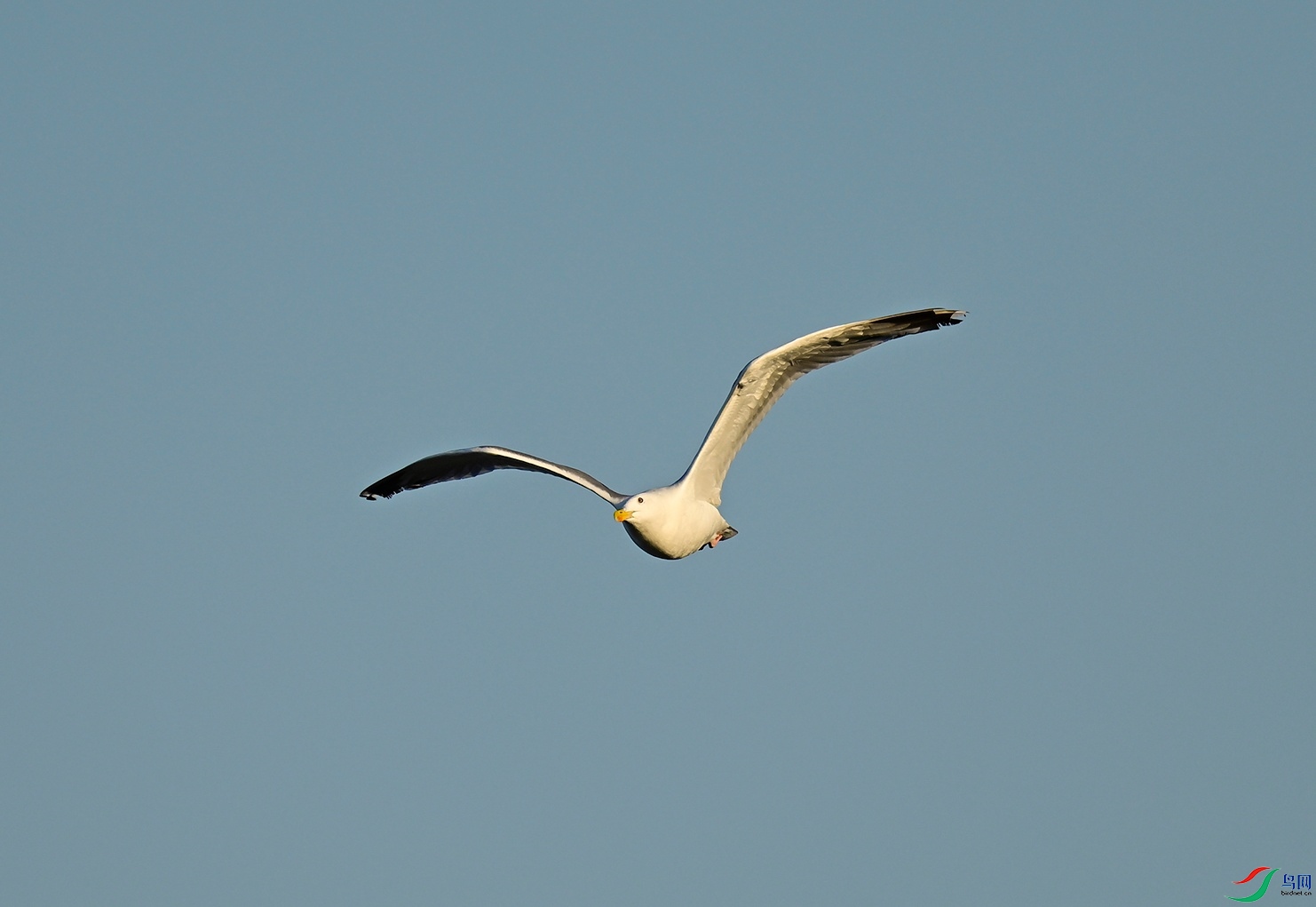_DSC3507f.jpg