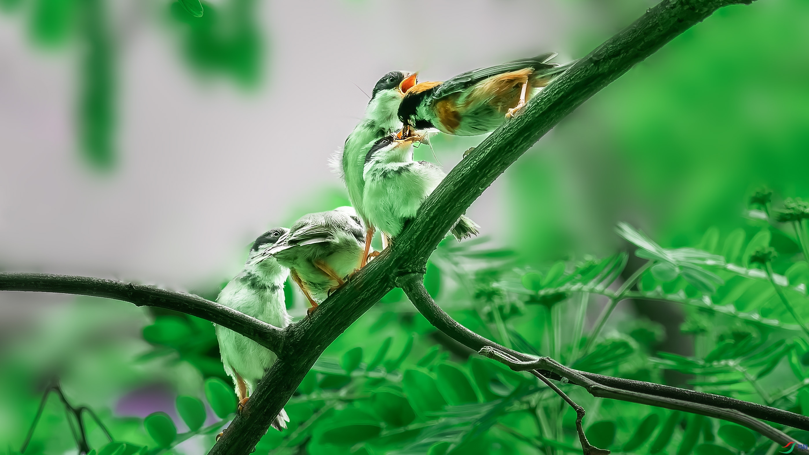 _4300230-ORF_DxO_DeepPRIMEXD ���� 2.jpg