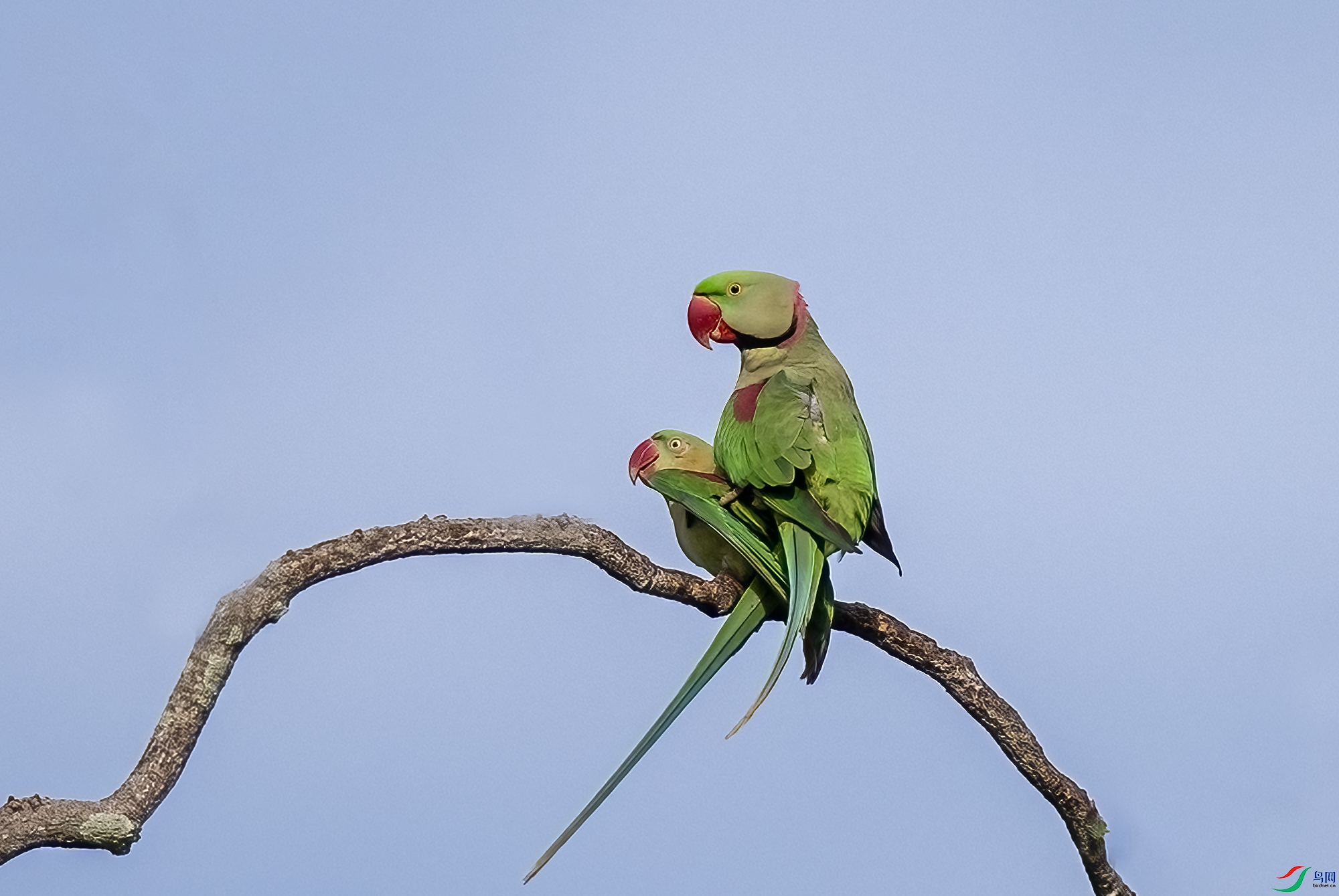 AC3I3672 ����.jpg