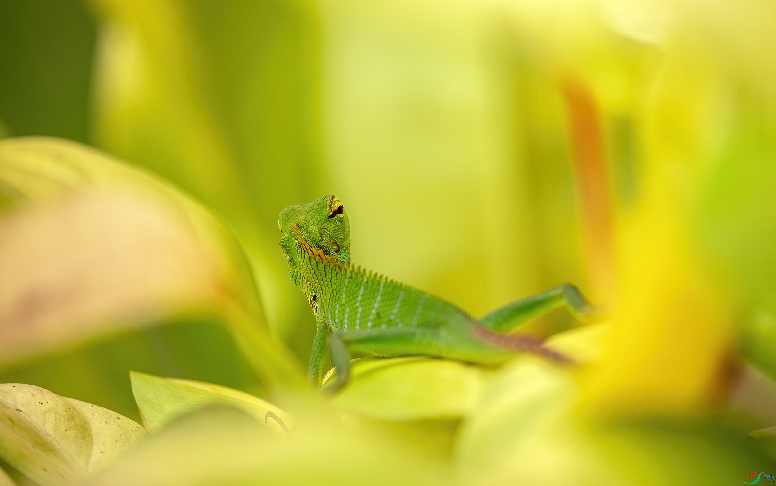 CB0A9980 ����.jpg