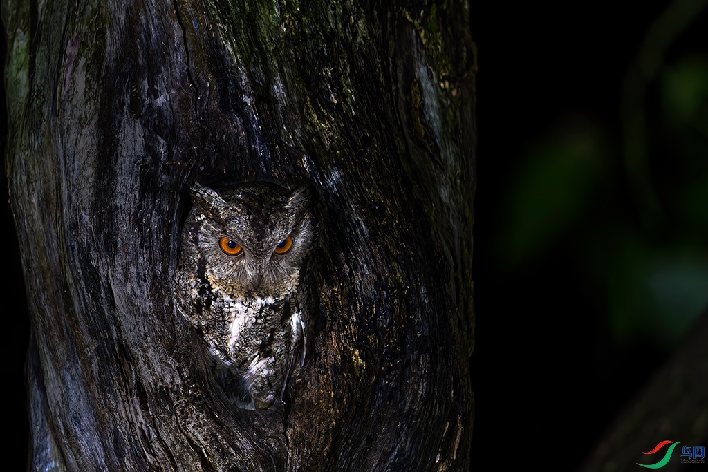 hndzR240418 (2961)_DxO.jpg