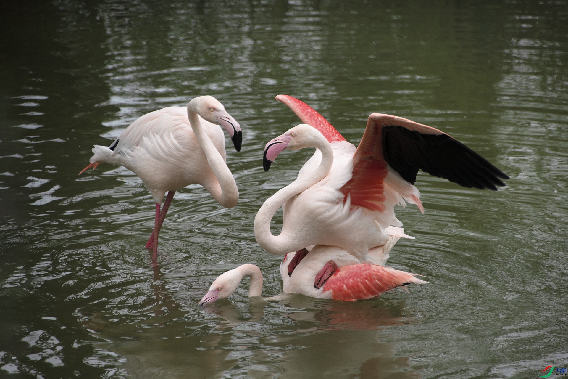 XQD_1594 �����1.jpg