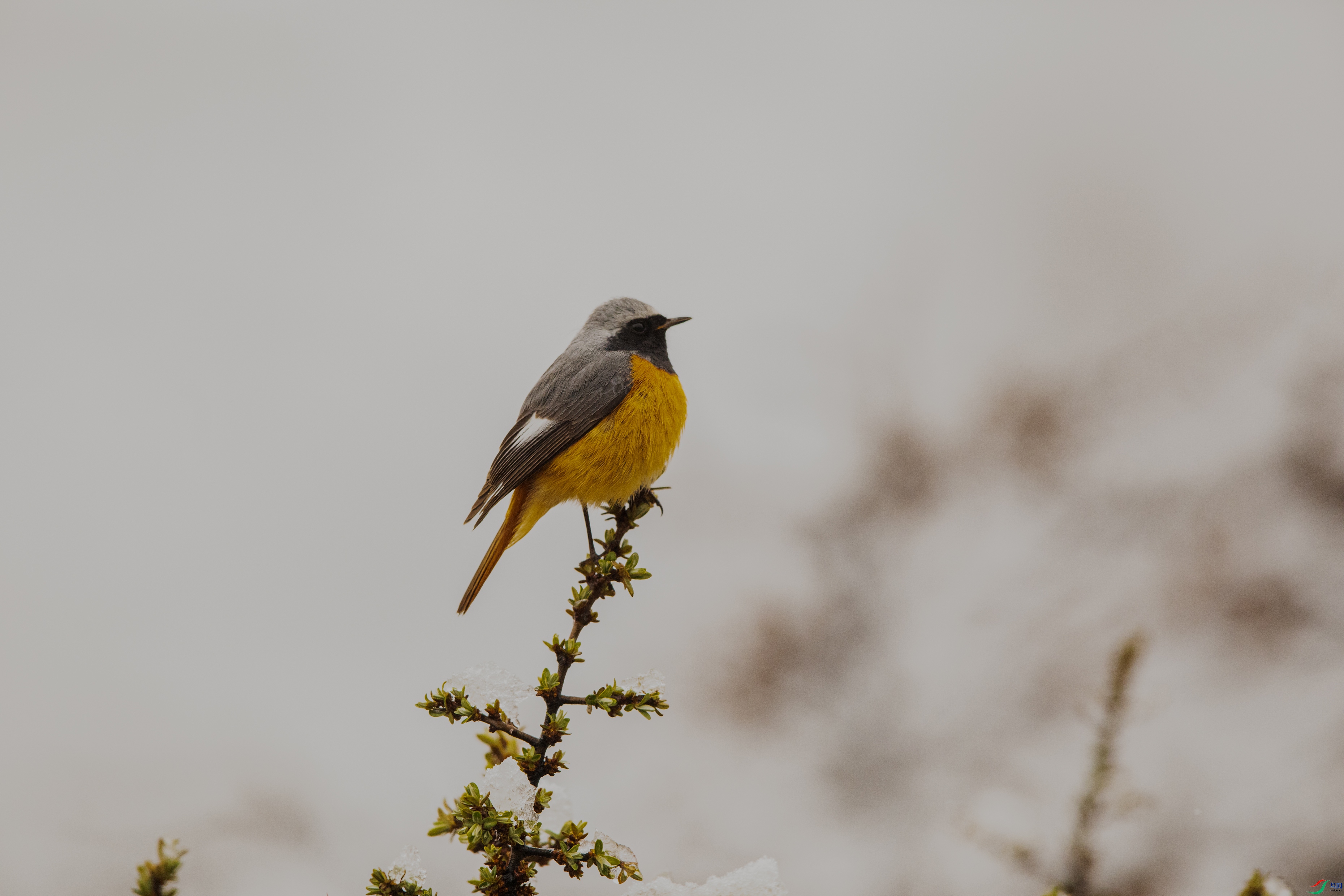 000A9189 ����9999.jpg