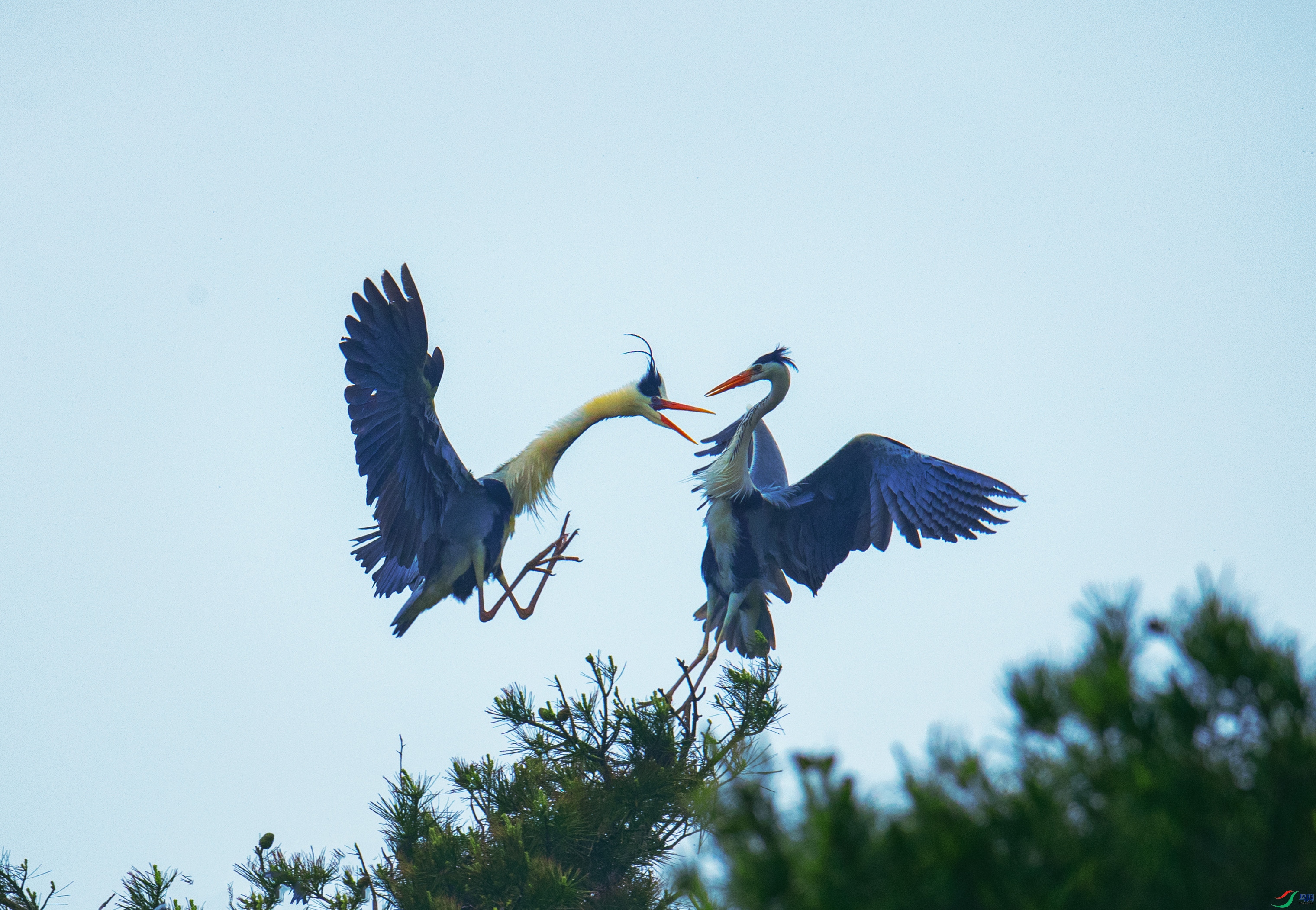 DSC_7204 -1.jpg